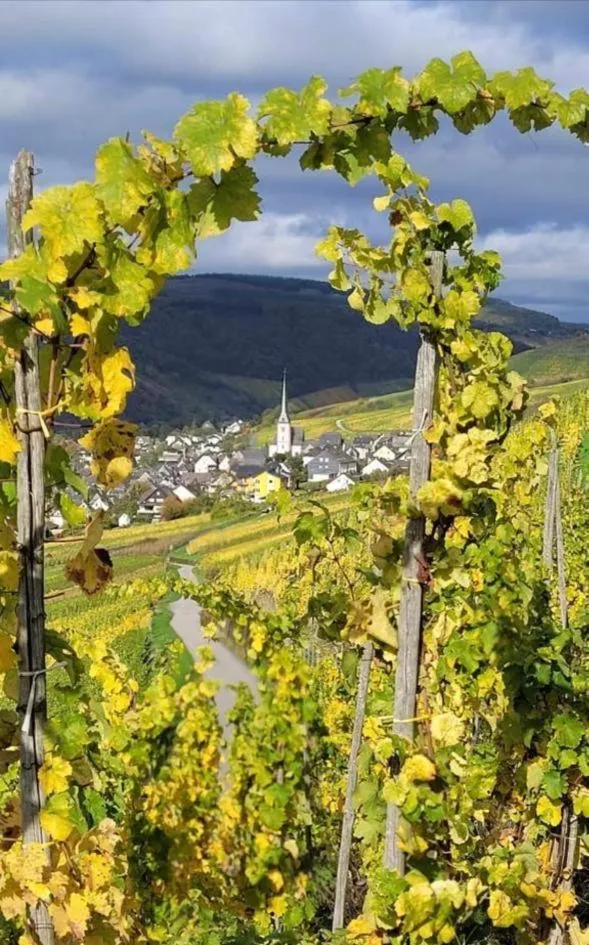 Landgasthof Zur Sonne