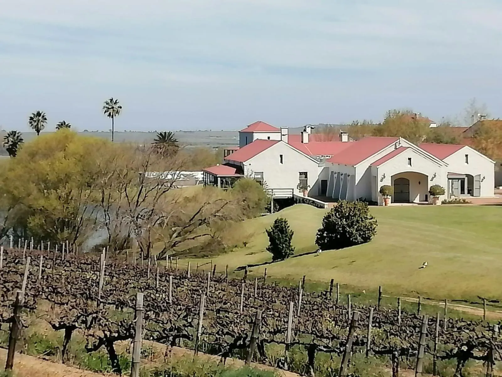 Property building in ASARA Wine Estate & Hotel