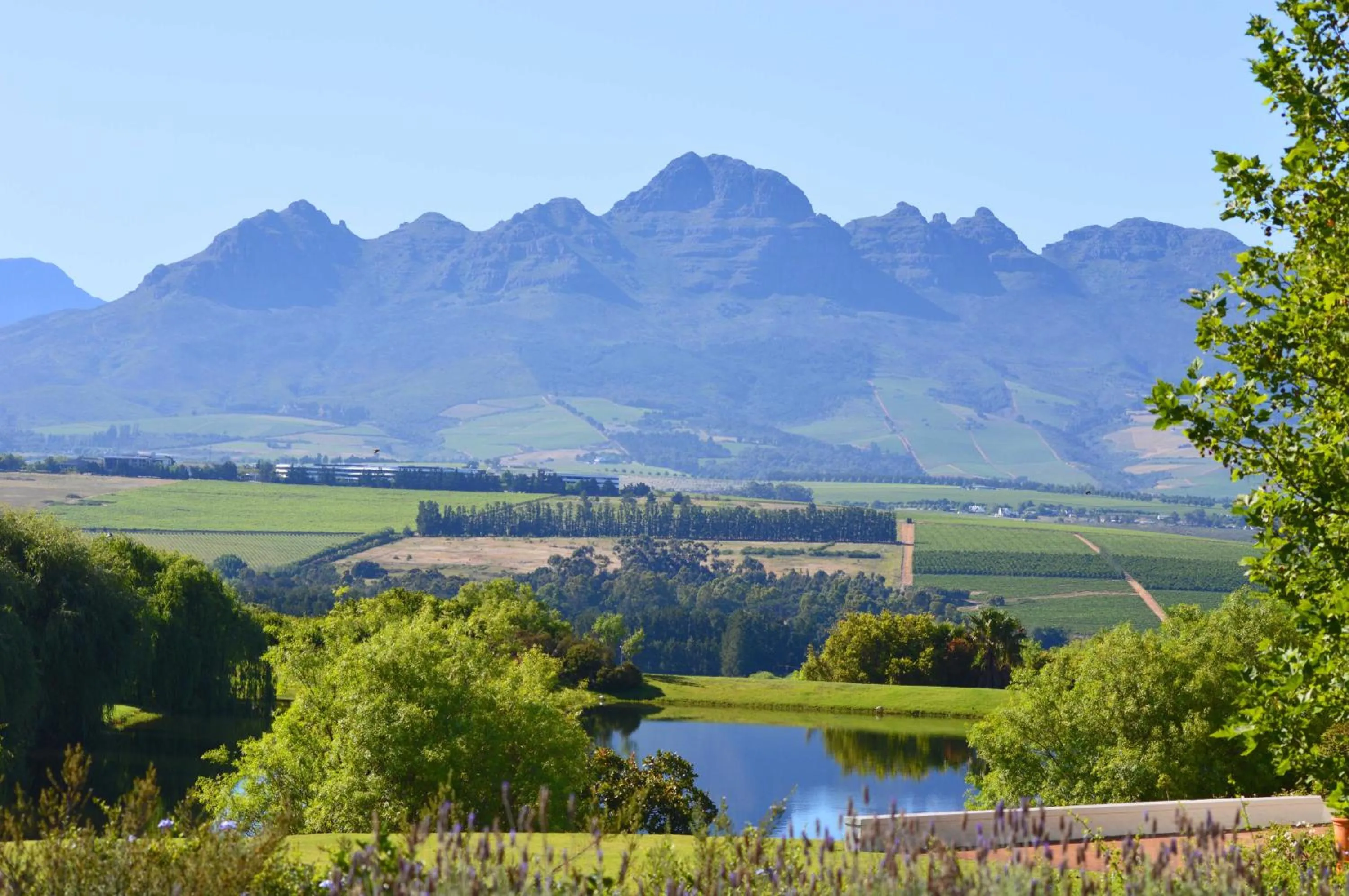 Mountain view in ASARA Wine Estate & Hotel