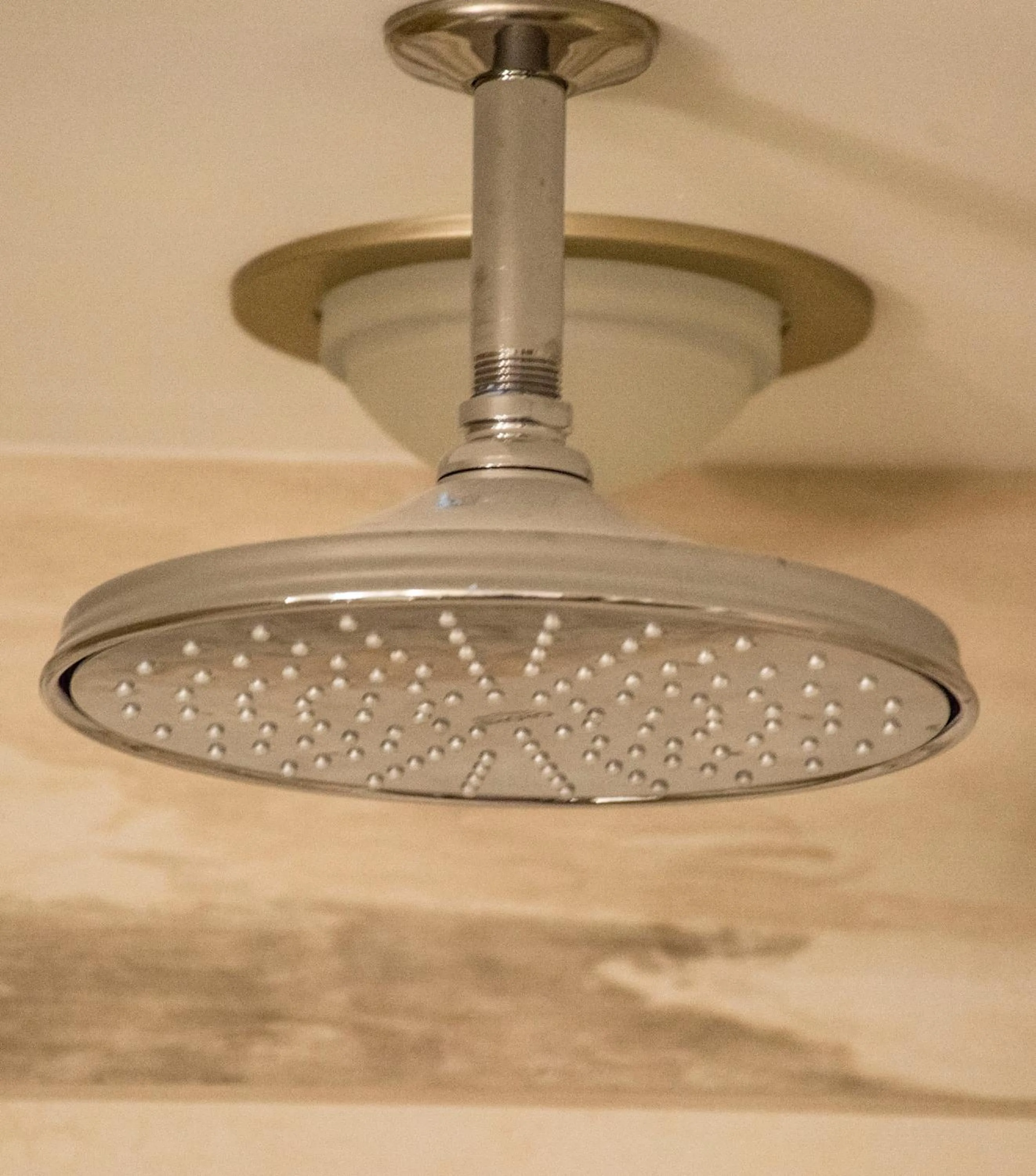 Shower in The Delavan Hotel