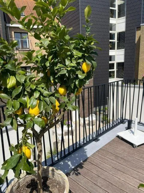 View (from property/room) in ABC Hotel