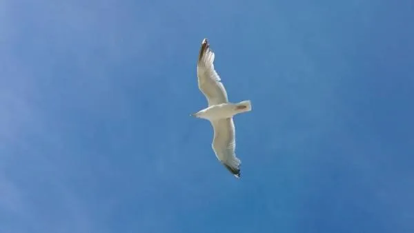 Sea view in ABC Hotel