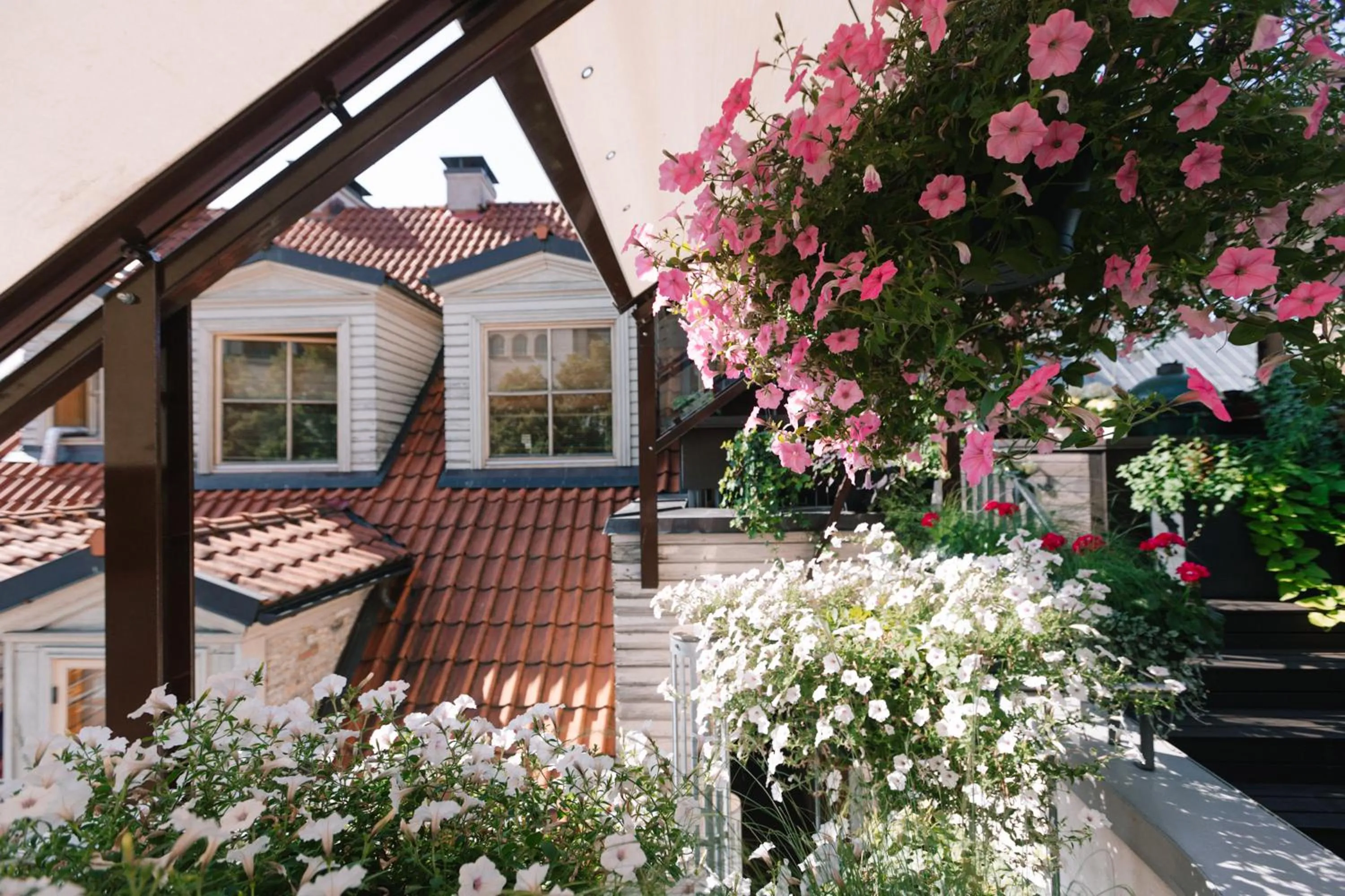 Balcony/Terrace in Dome Hotel