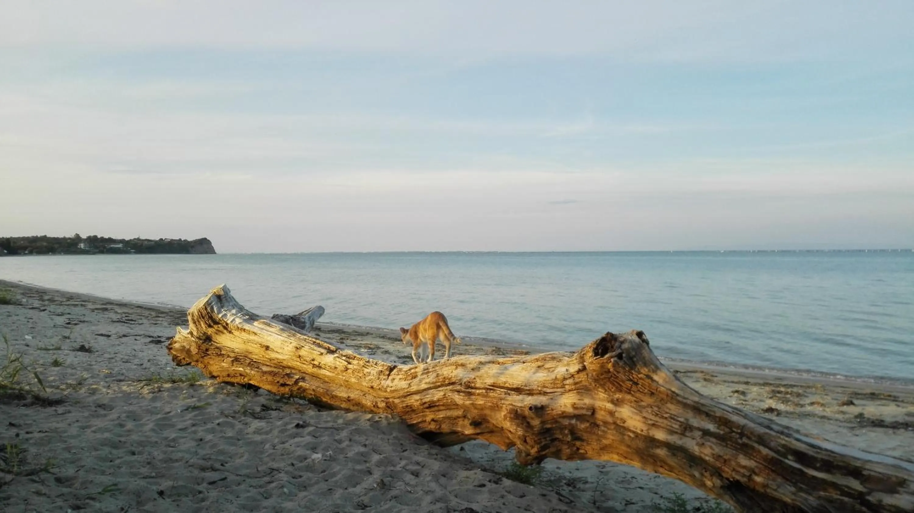 Off site in Hotel Villa Sevasti