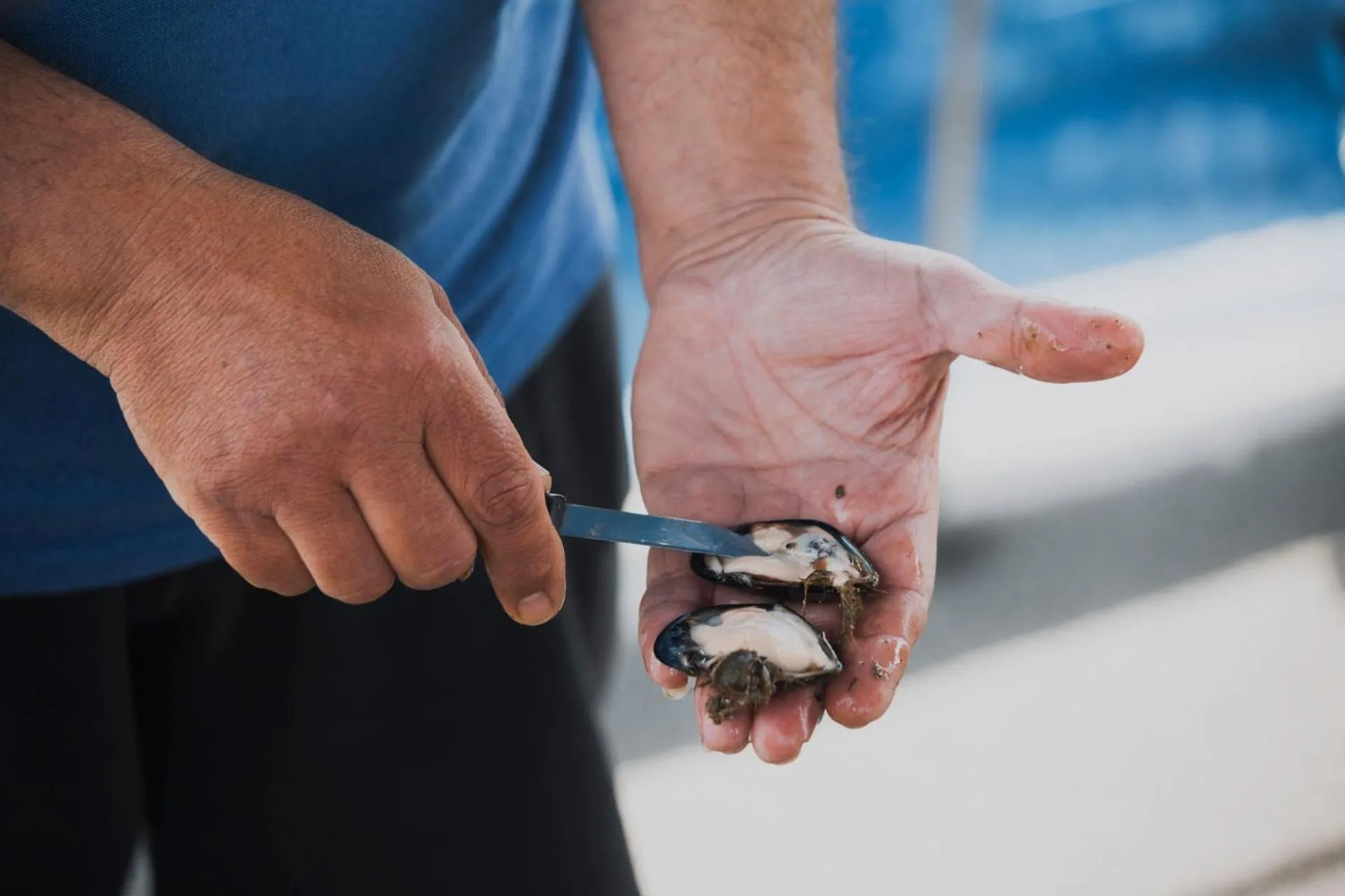 People in Hotel Villa Sevasti