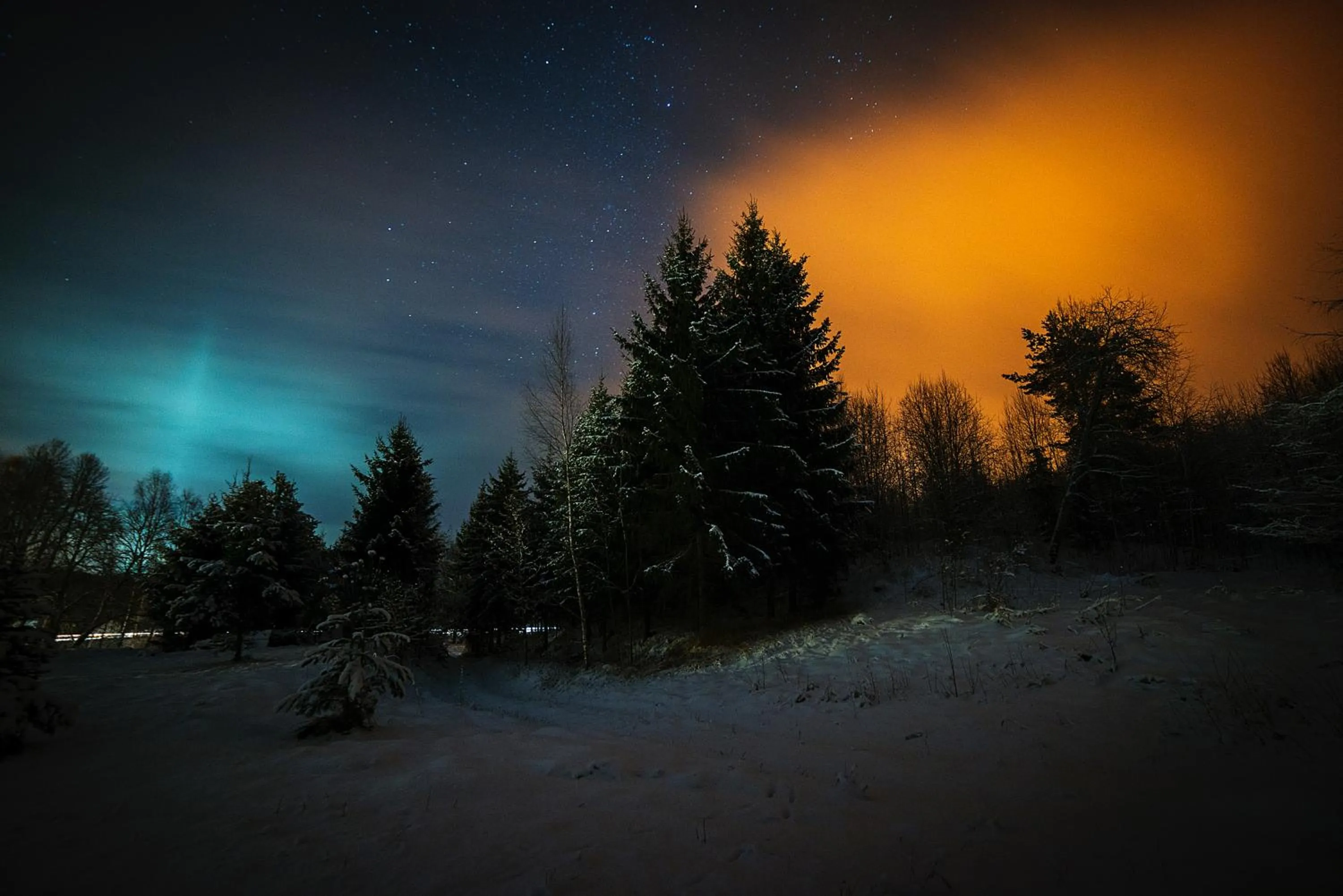 Garden in Marcienas Muiza & SPA