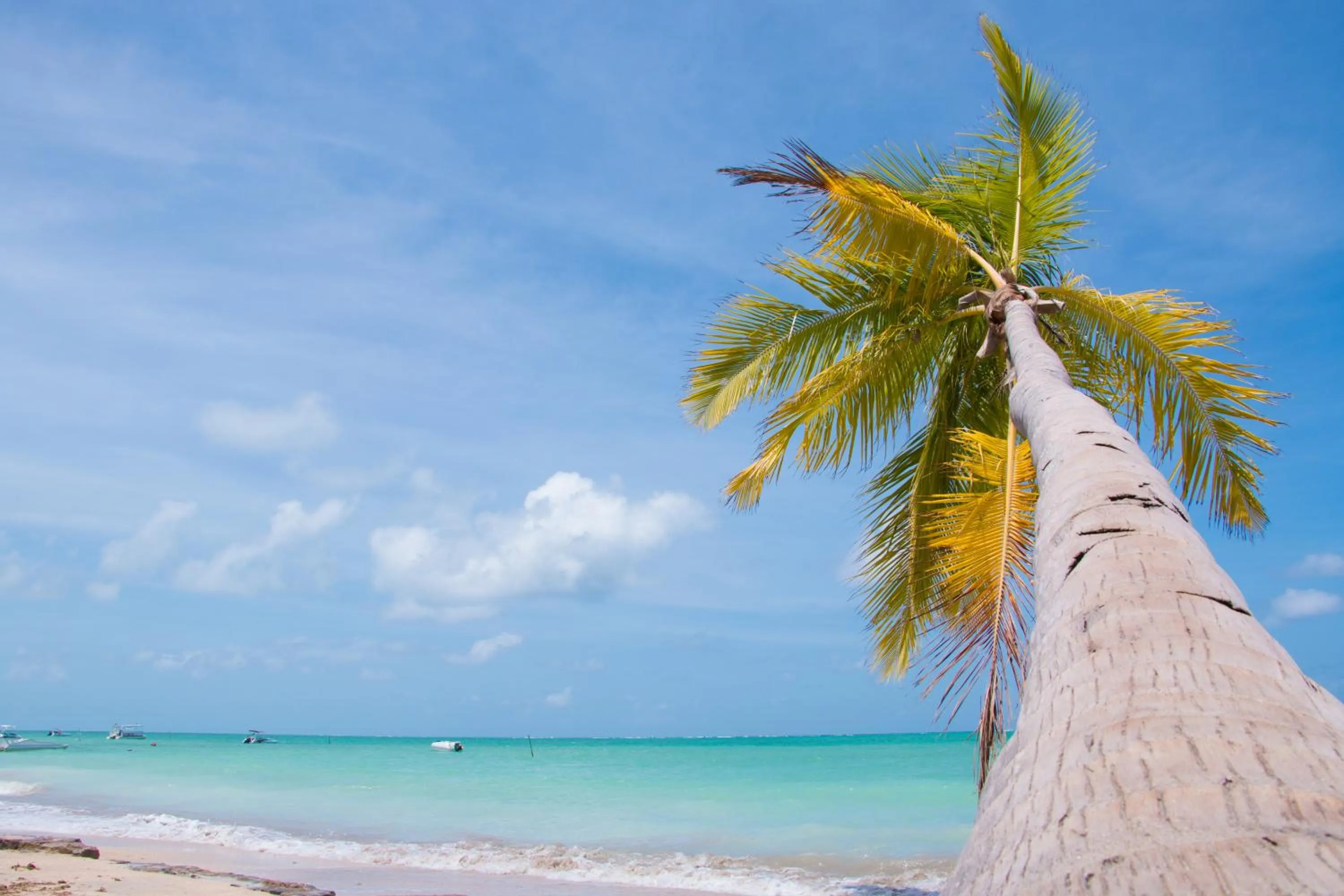Beach in Pousada Ponta de Mangue