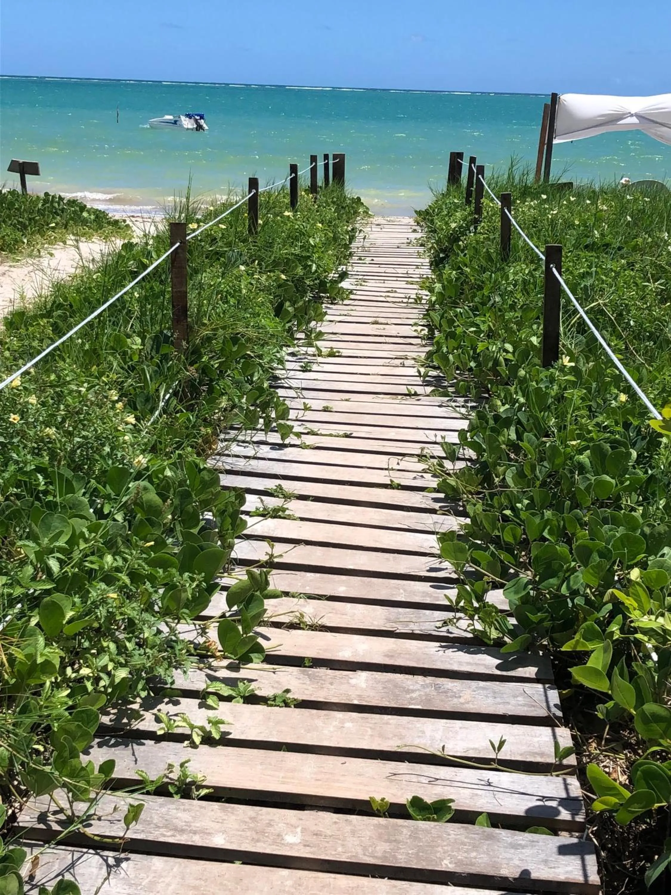 Beach in Pousada Ponta de Mangue
