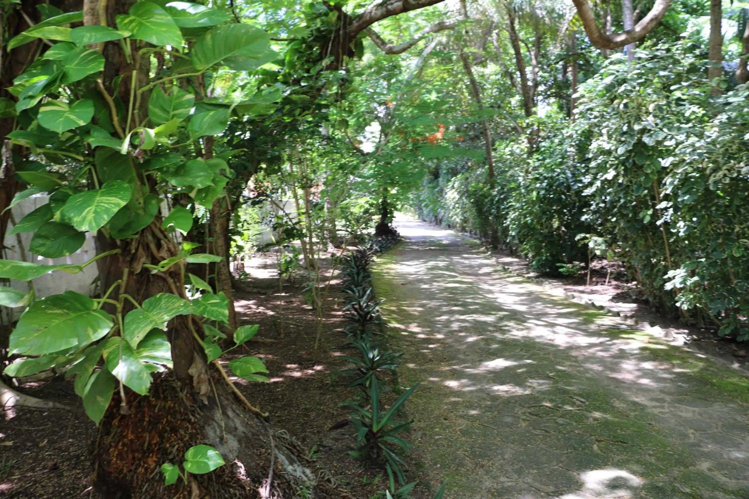 Hiking in Pousada Ponta de Mangue
