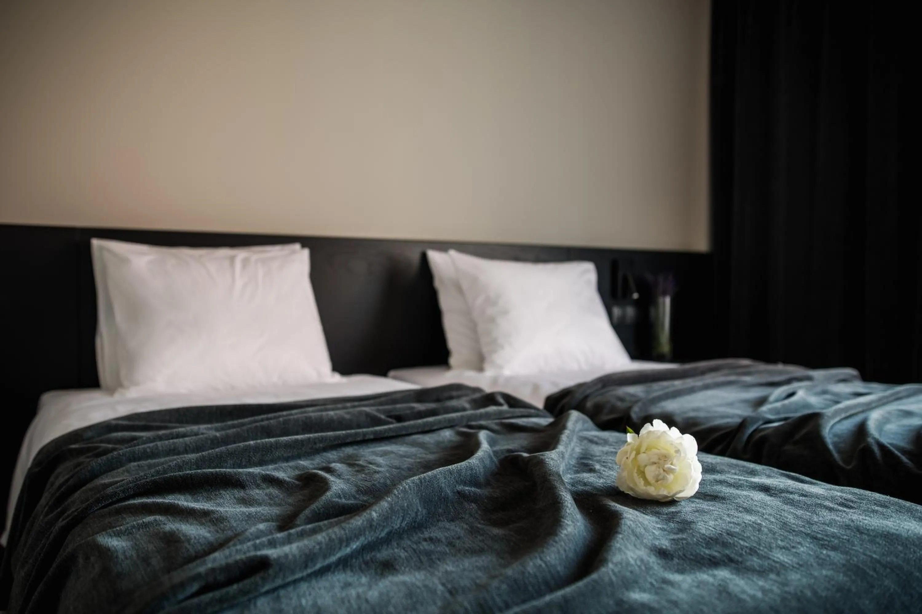 Bed in Maestro Design Hotel
