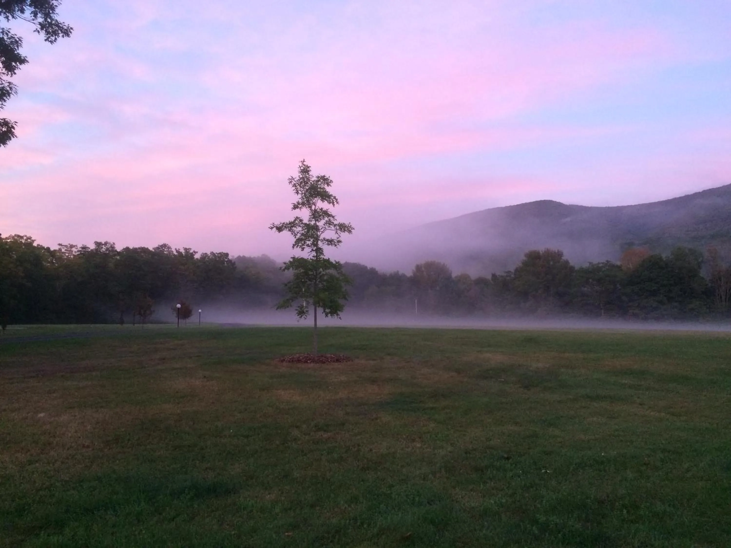 Pets in Aerie Inn of Vermont