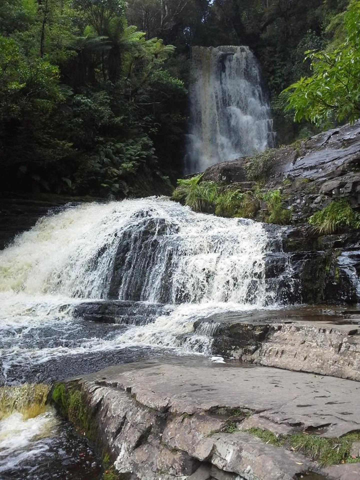 Activities in Owaka Lodge Motel