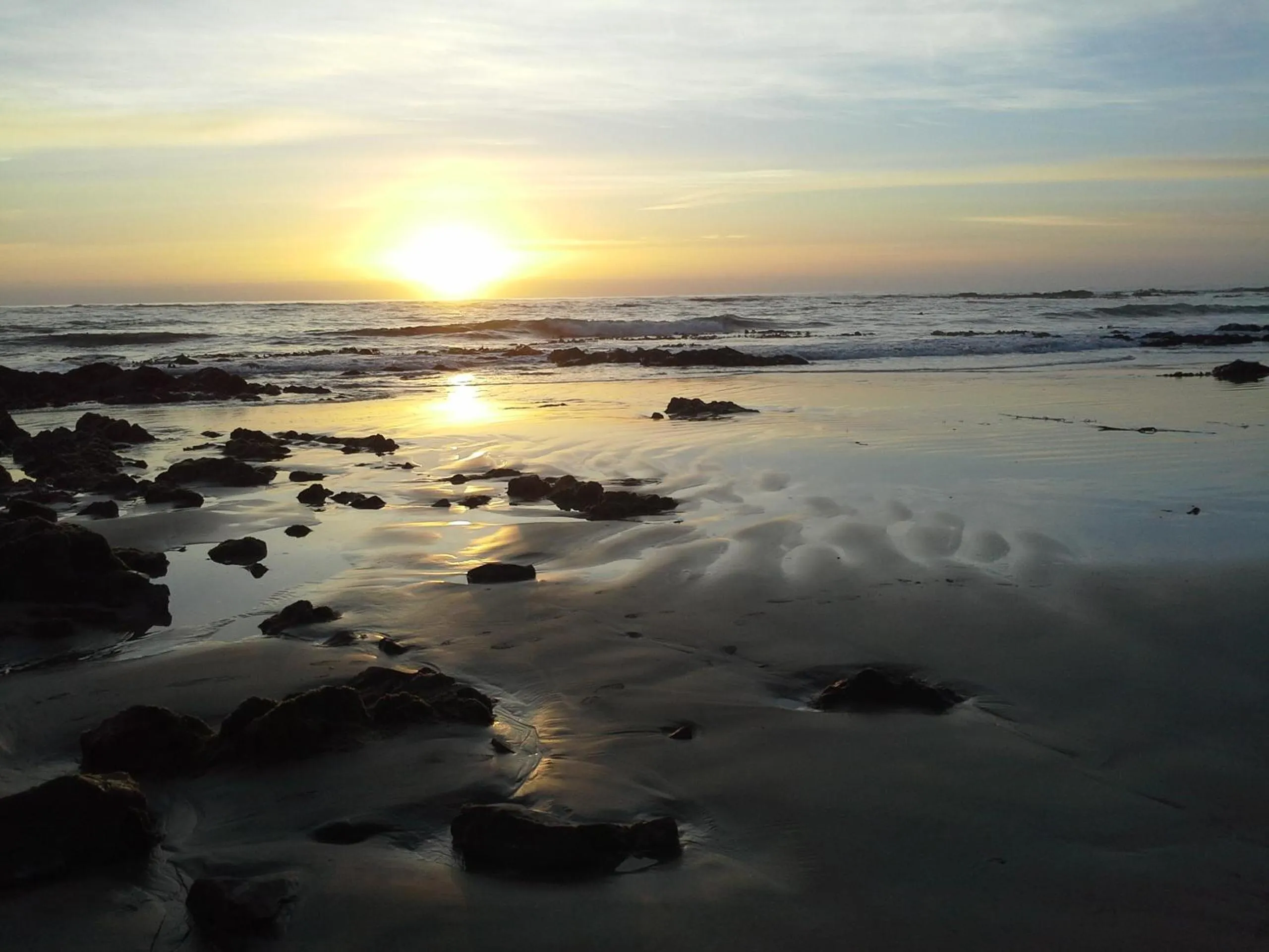 Activities in Owaka Lodge Motel