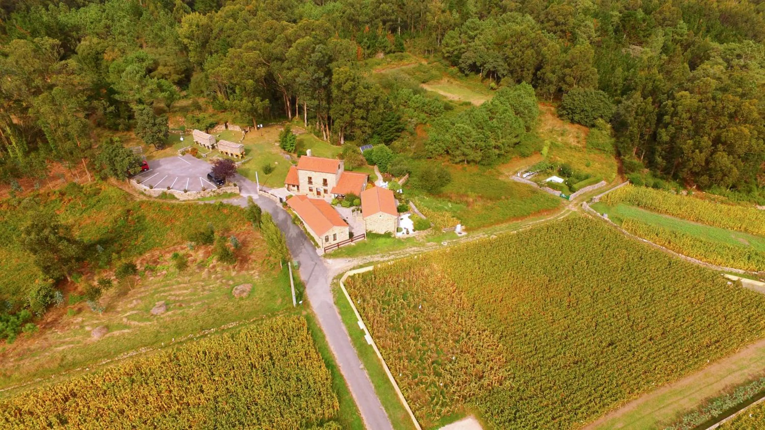 Bird's eye view in Hotel Rustico Lugar Do Cotariño