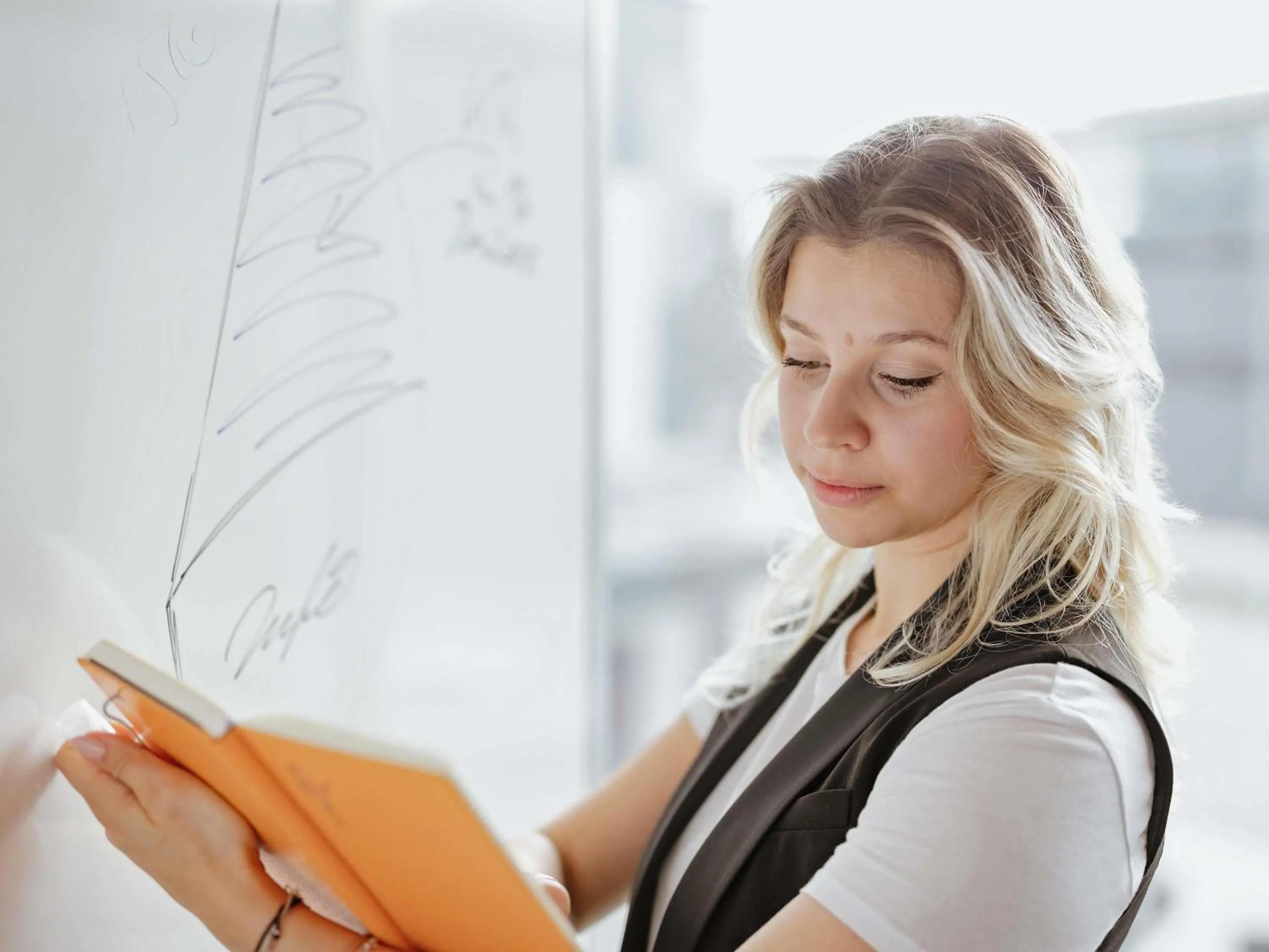 Meeting/conference room in ibis Orange Centre Echangeur A7 A9