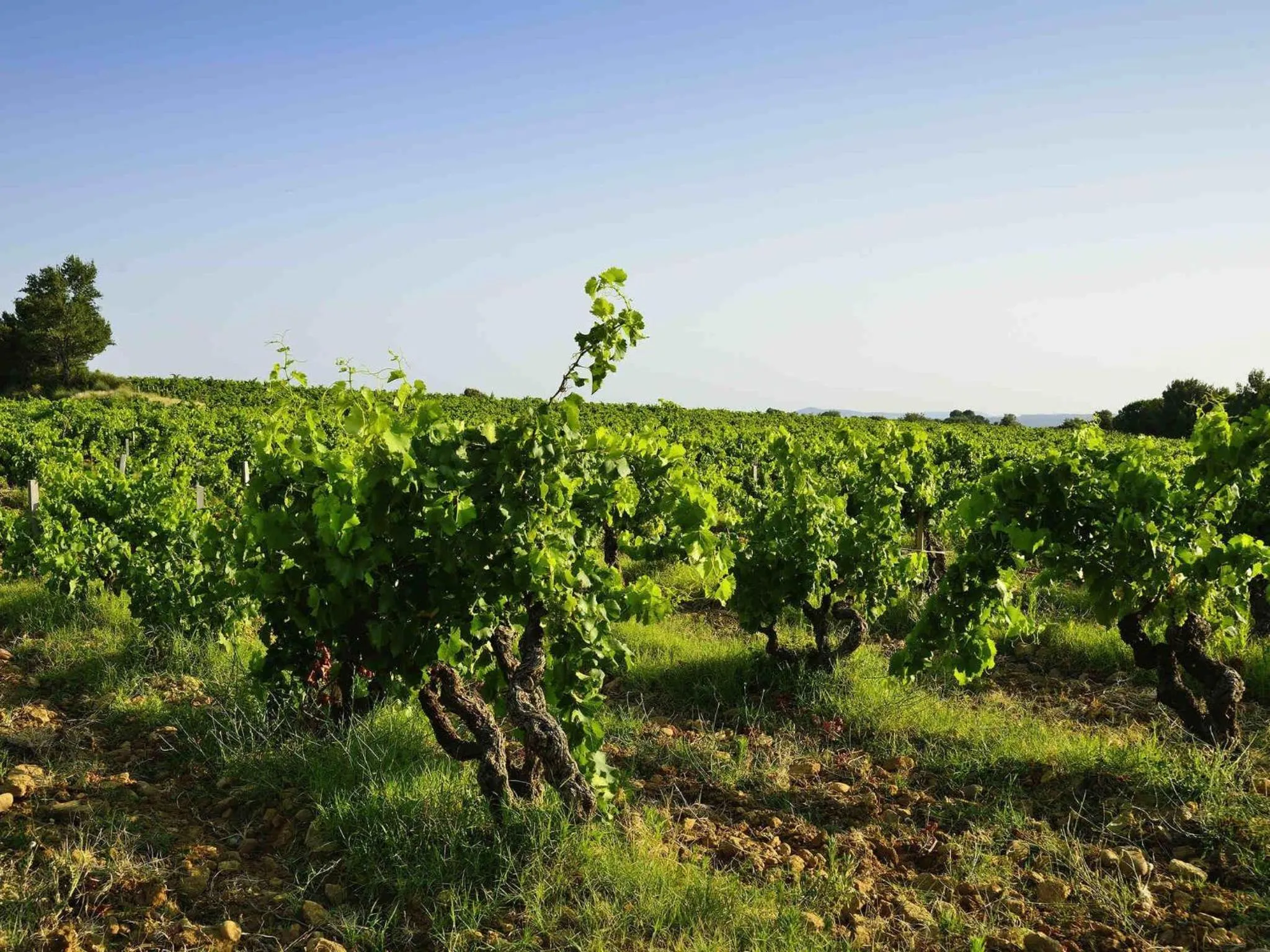 Other in ibis Orange Centre Echangeur A7 A9