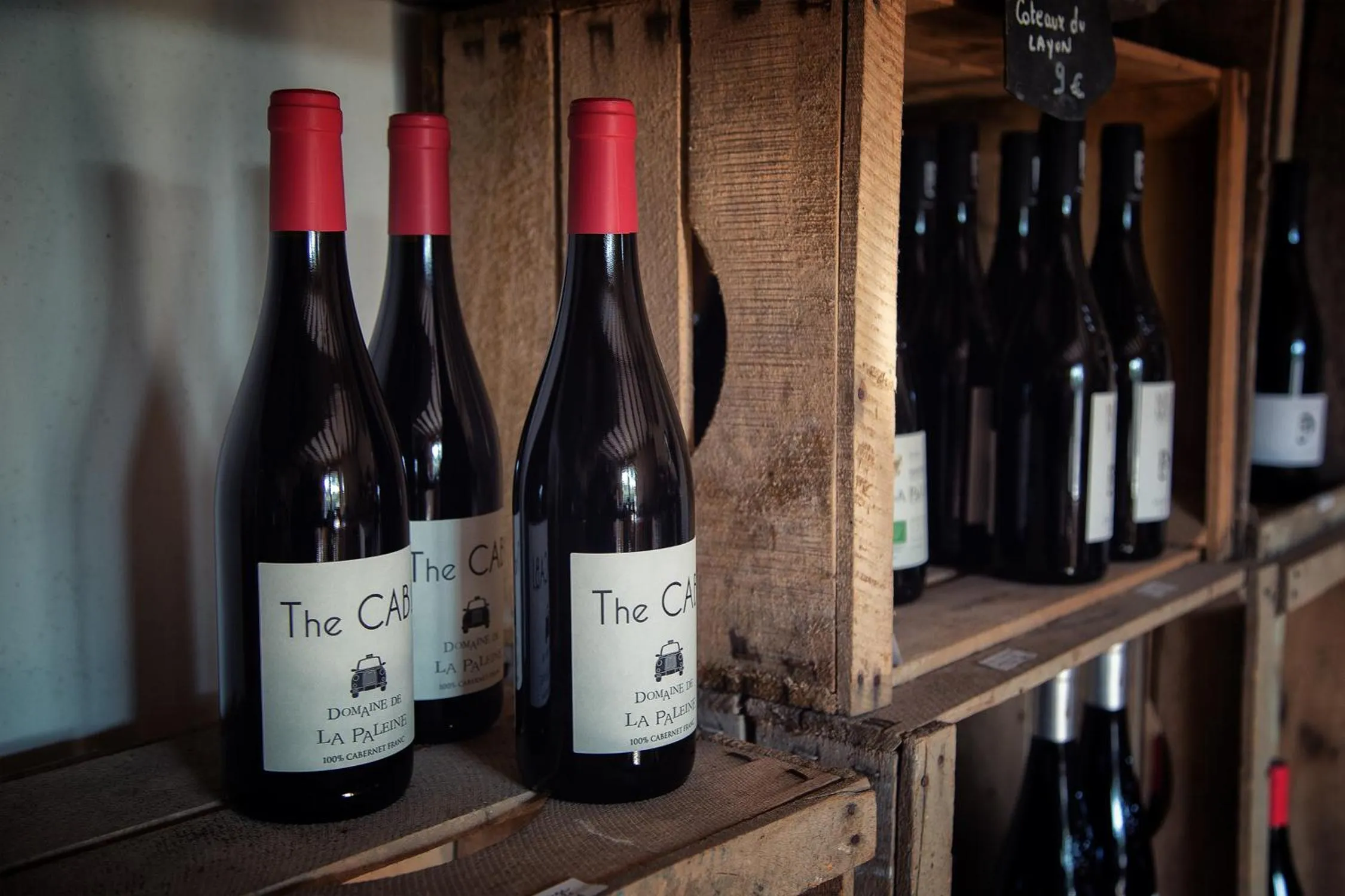 Lounge or bar in Hôtel & Spa Chai De La Paleine