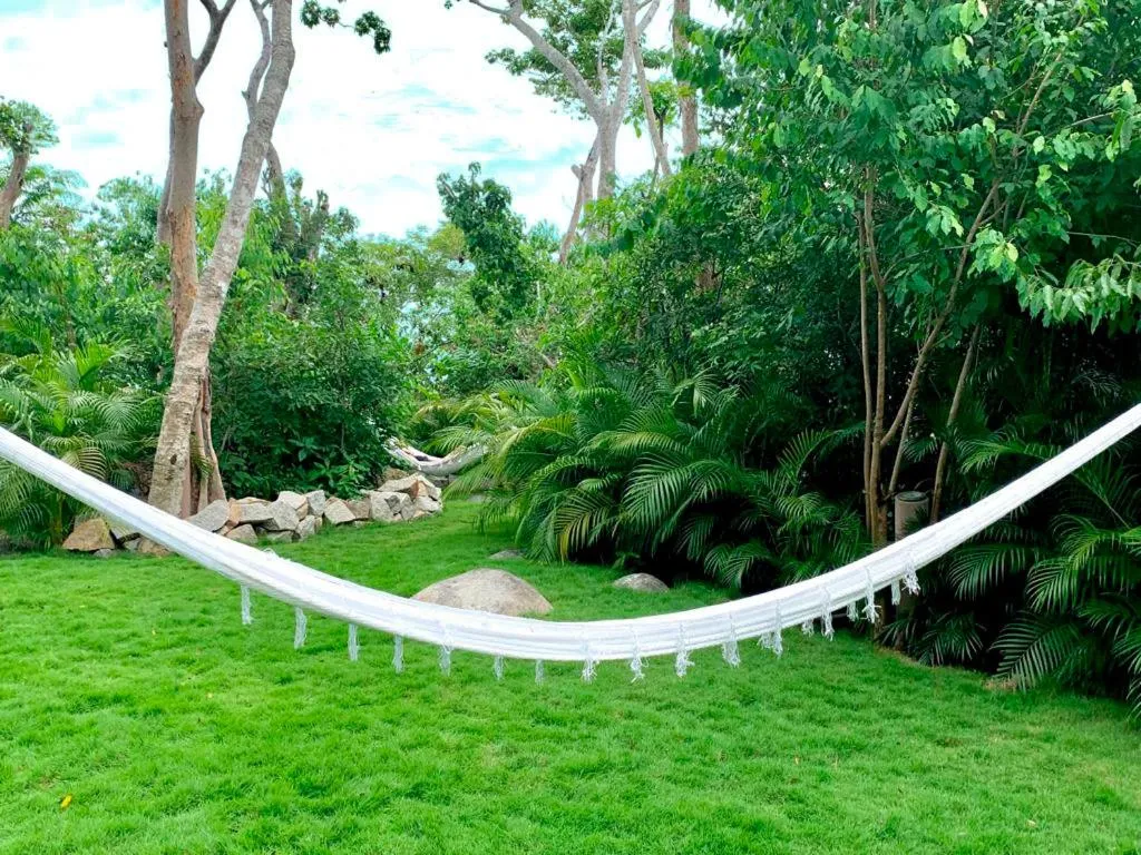 Natural landscape in Encanto Acapulco