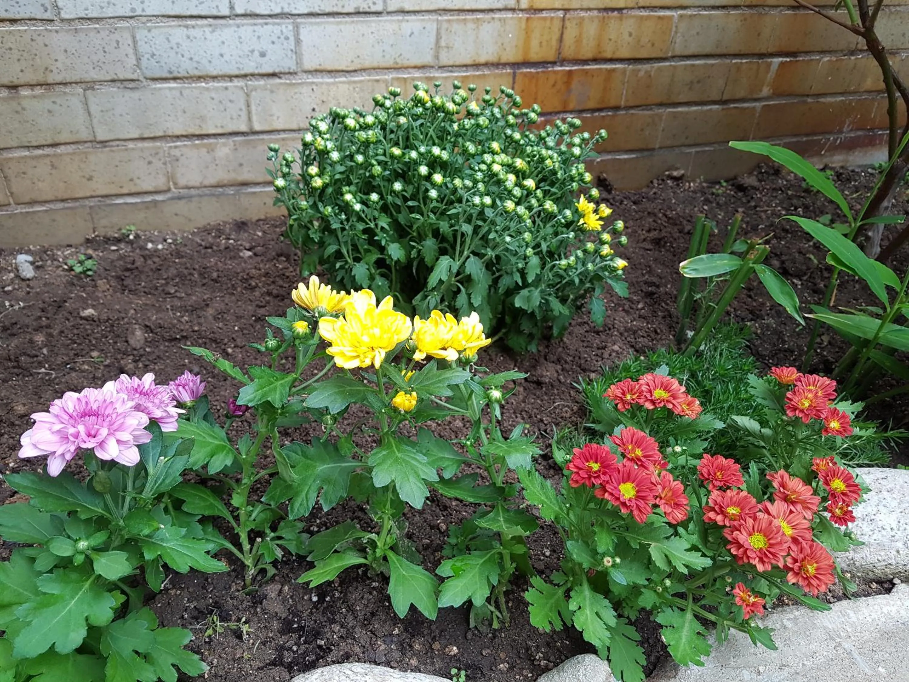 Property building in Dajayon Hanok Stay