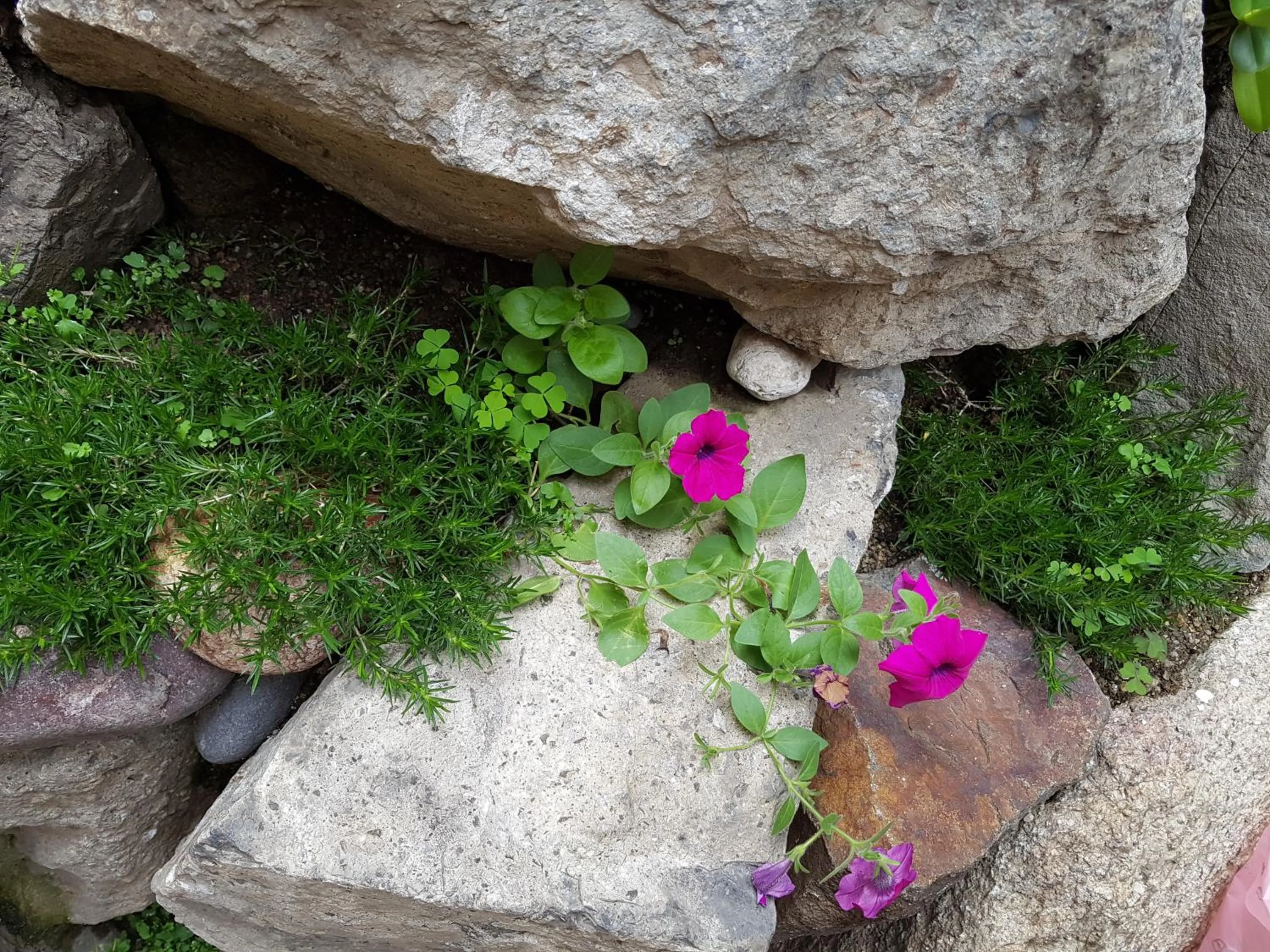 Property building in Dajayon Hanok Stay