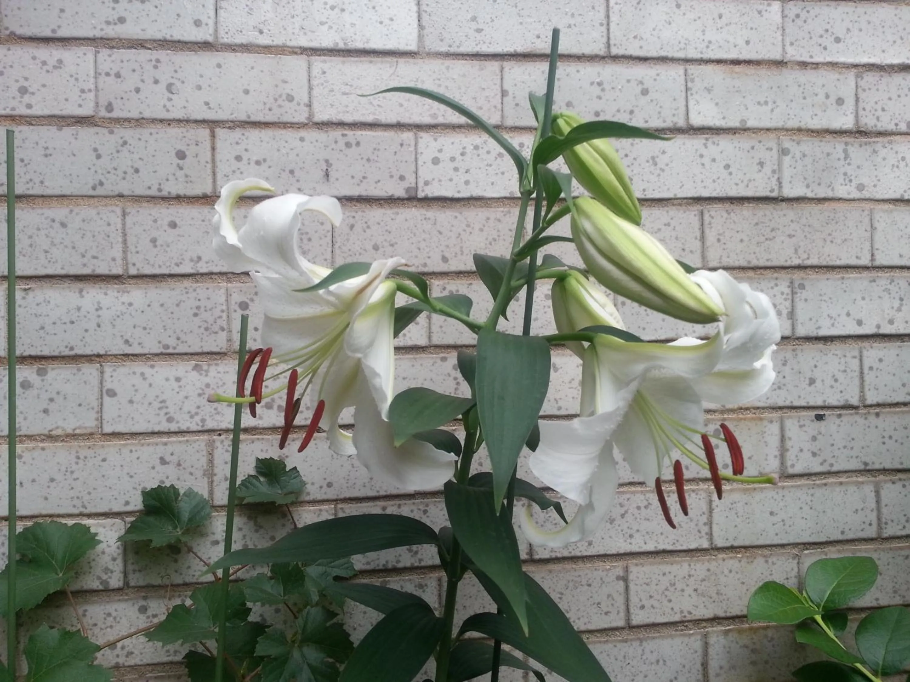 Property building in Dajayon Hanok Stay