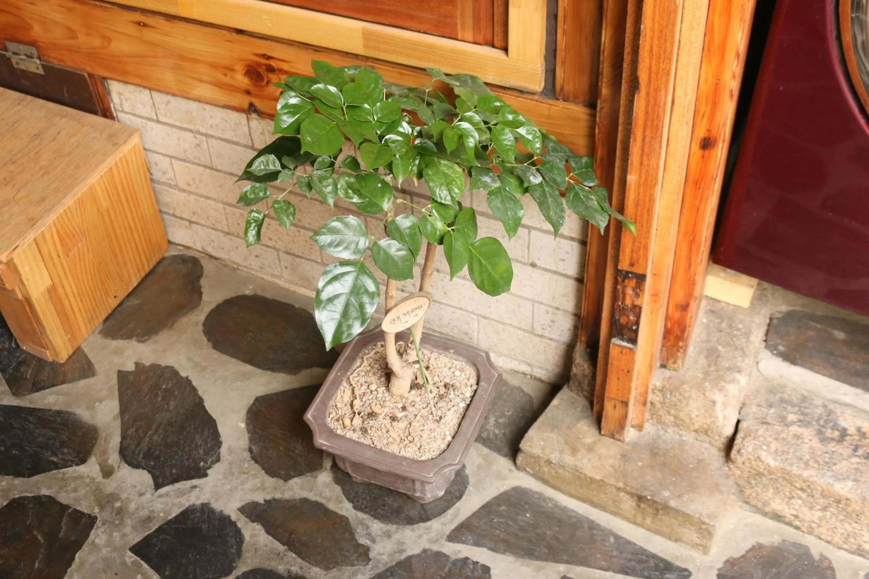 Property building in Dajayon Hanok Stay