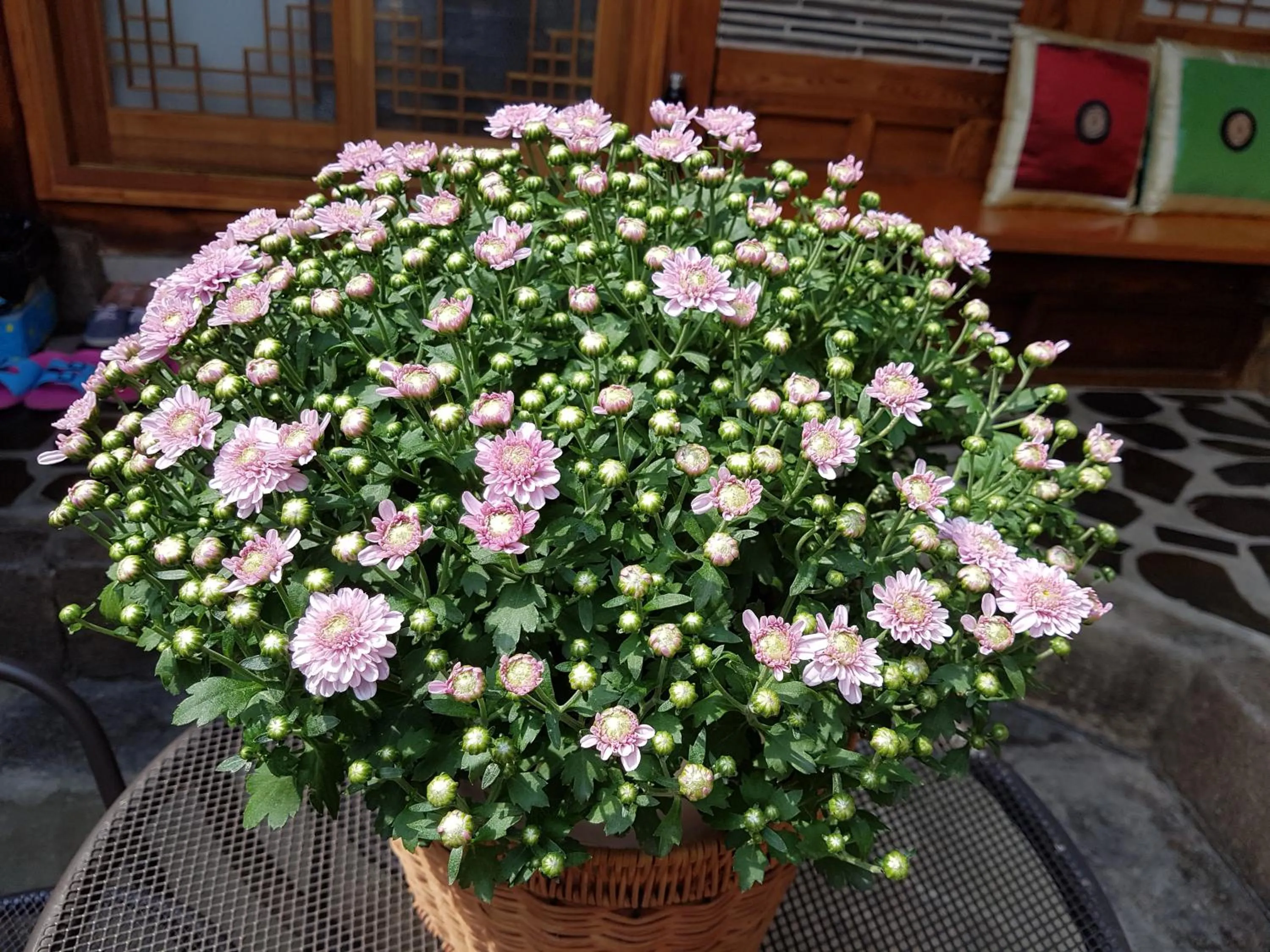 Property building in Dajayon Hanok Stay