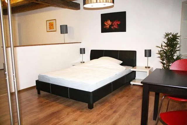 Double Apartment in Hermann's Neue Post