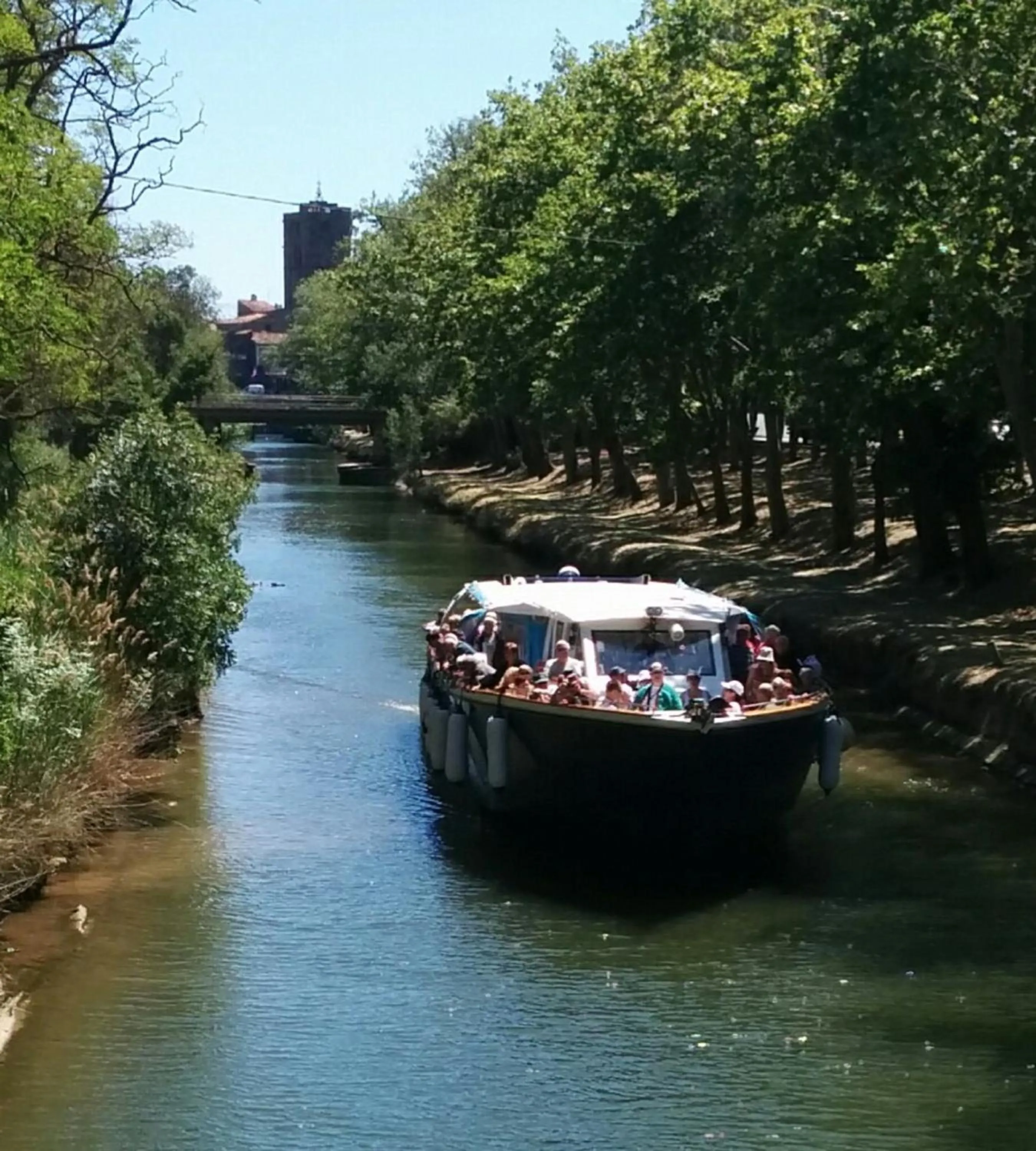 Neighbourhood in Hotel Araur