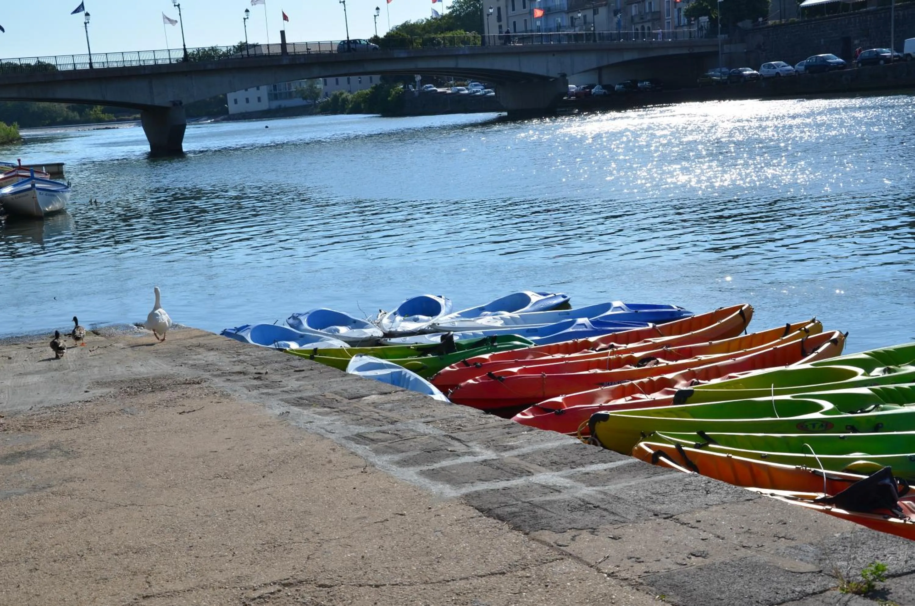 Neighbourhood in Hotel Araur