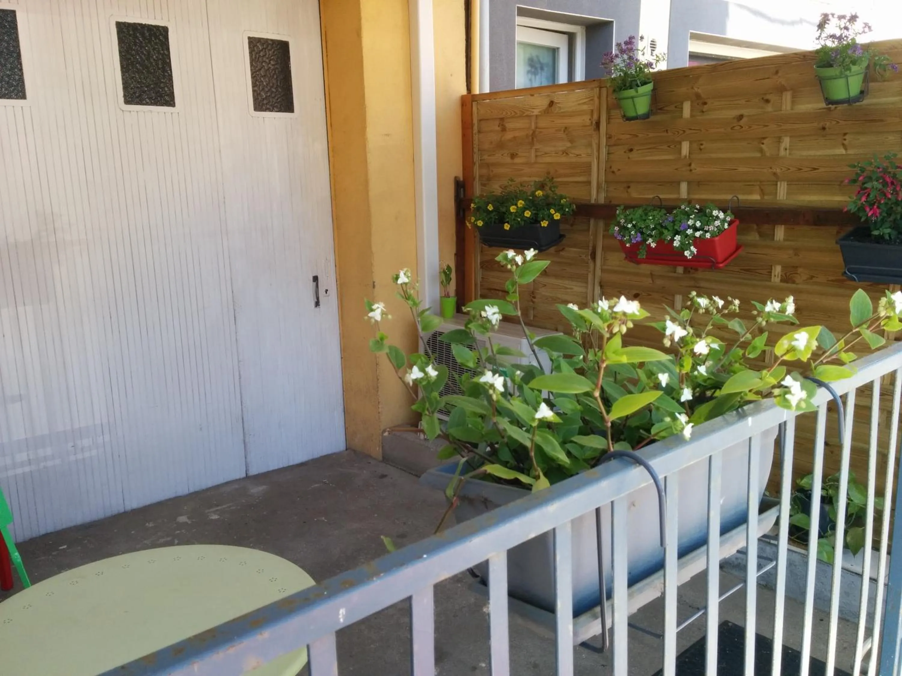 Area and facilities in Hotel Araur