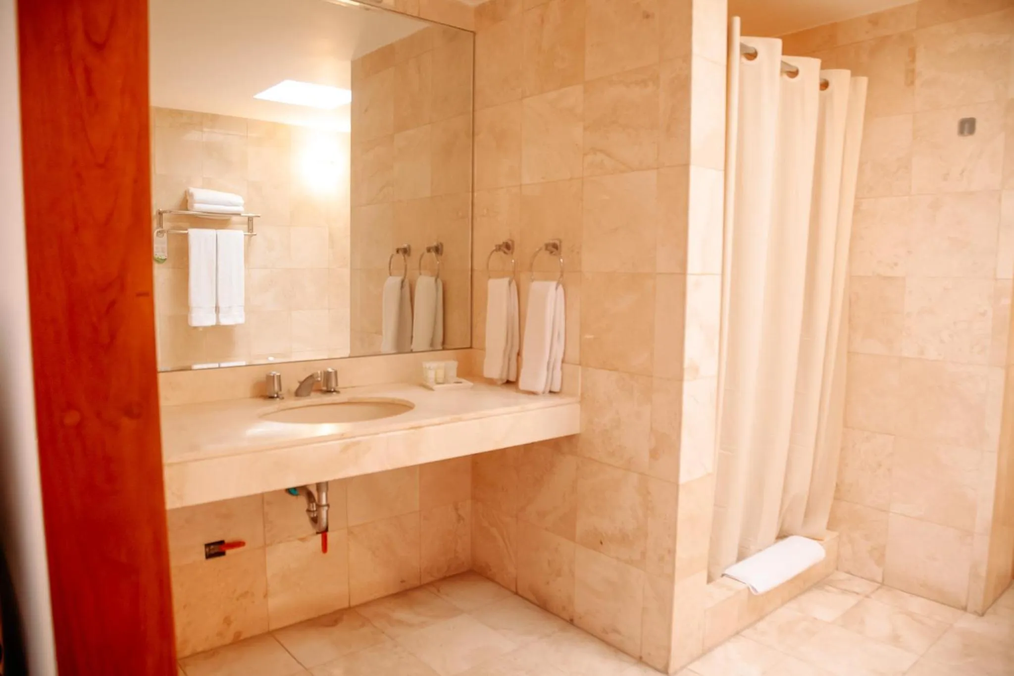 Bathroom in Hotel Carrera