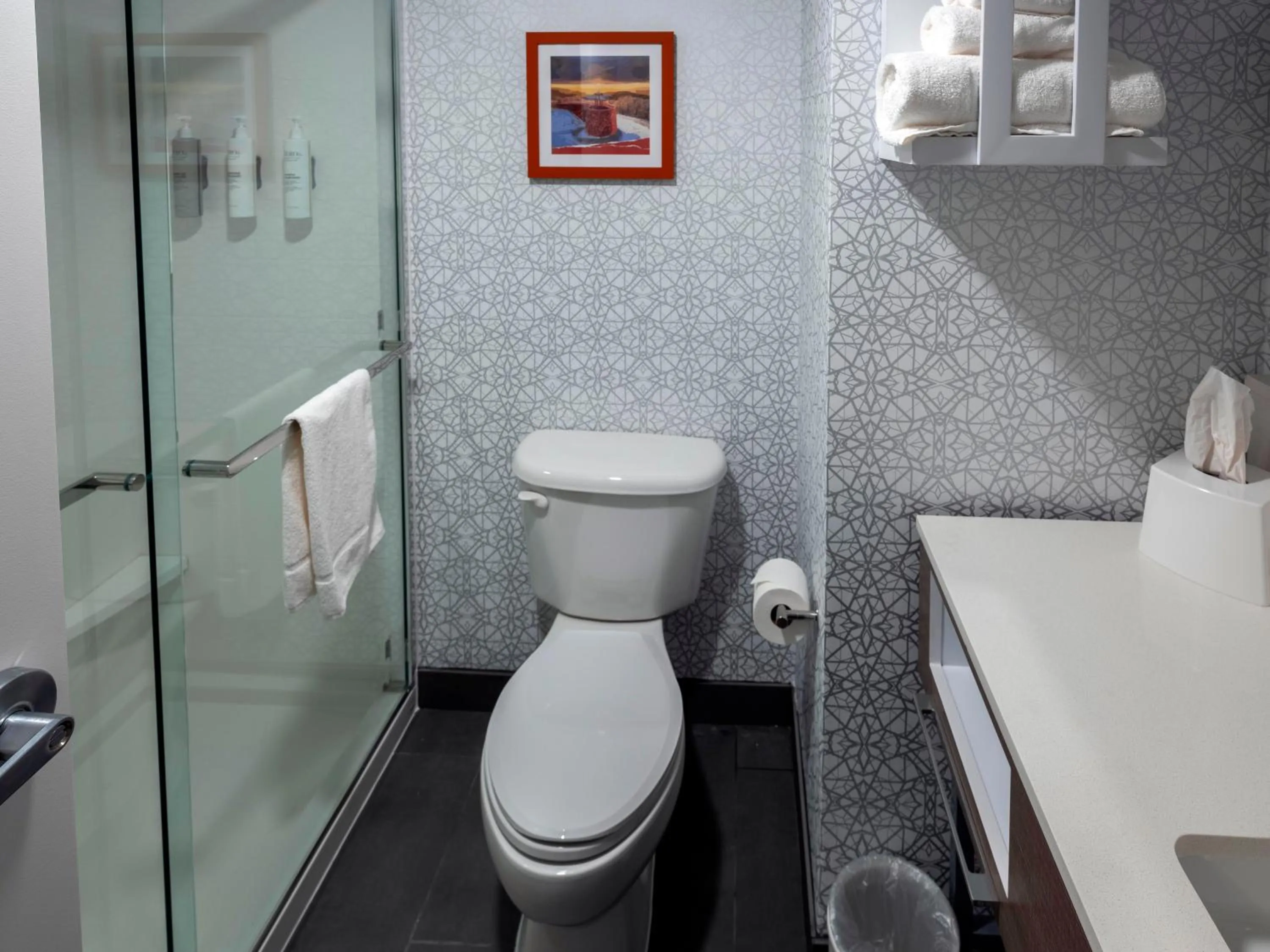 Bathroom in Hampton Inn Norton, Va