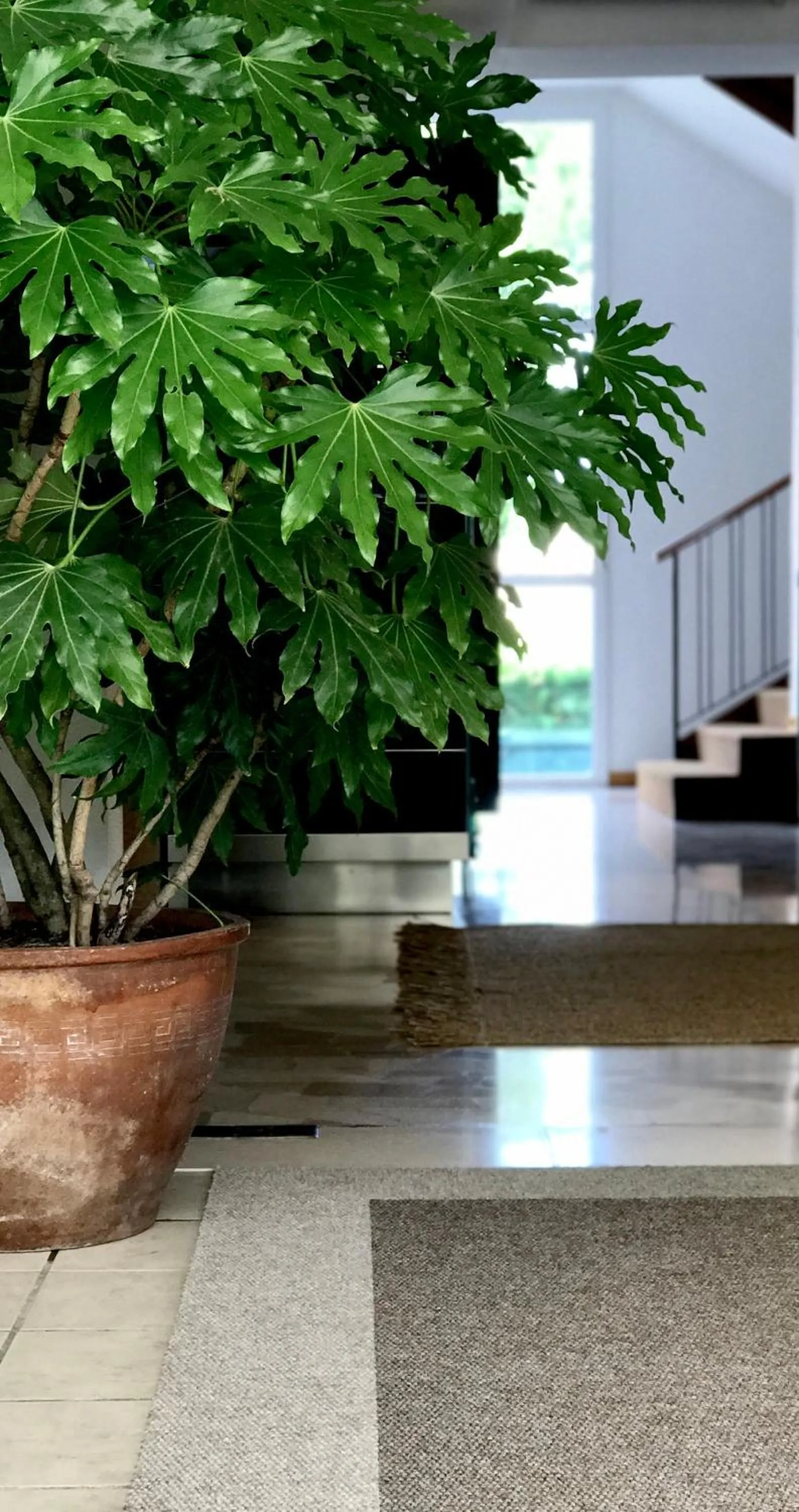 Facade/entrance in Harvey Suites Hotel & Residence