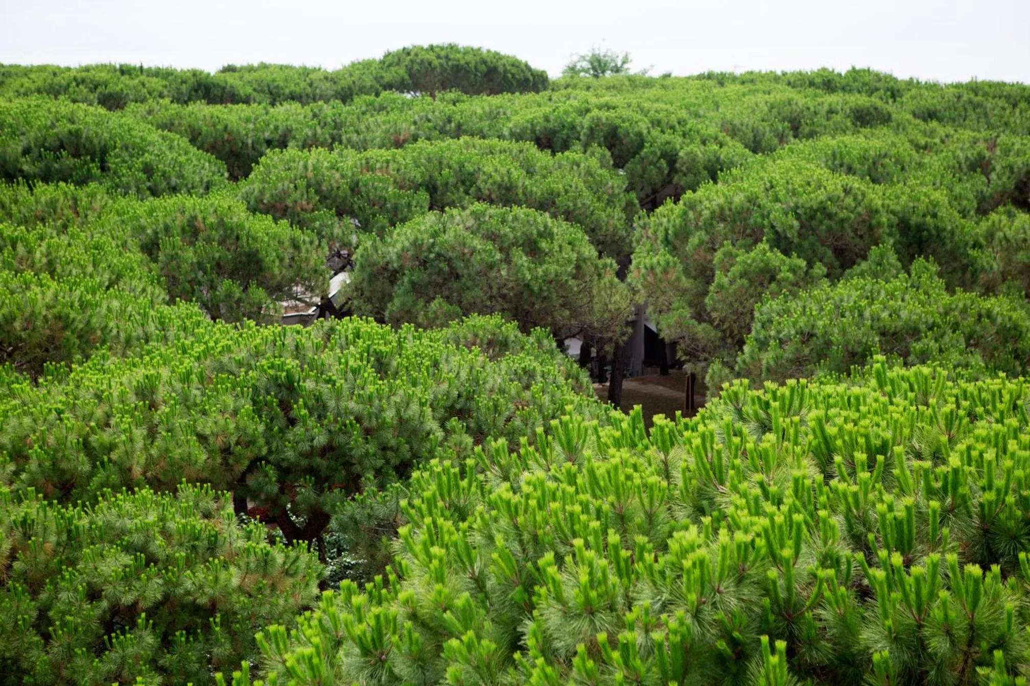 Day in Harvey Suites Hotel & Residence