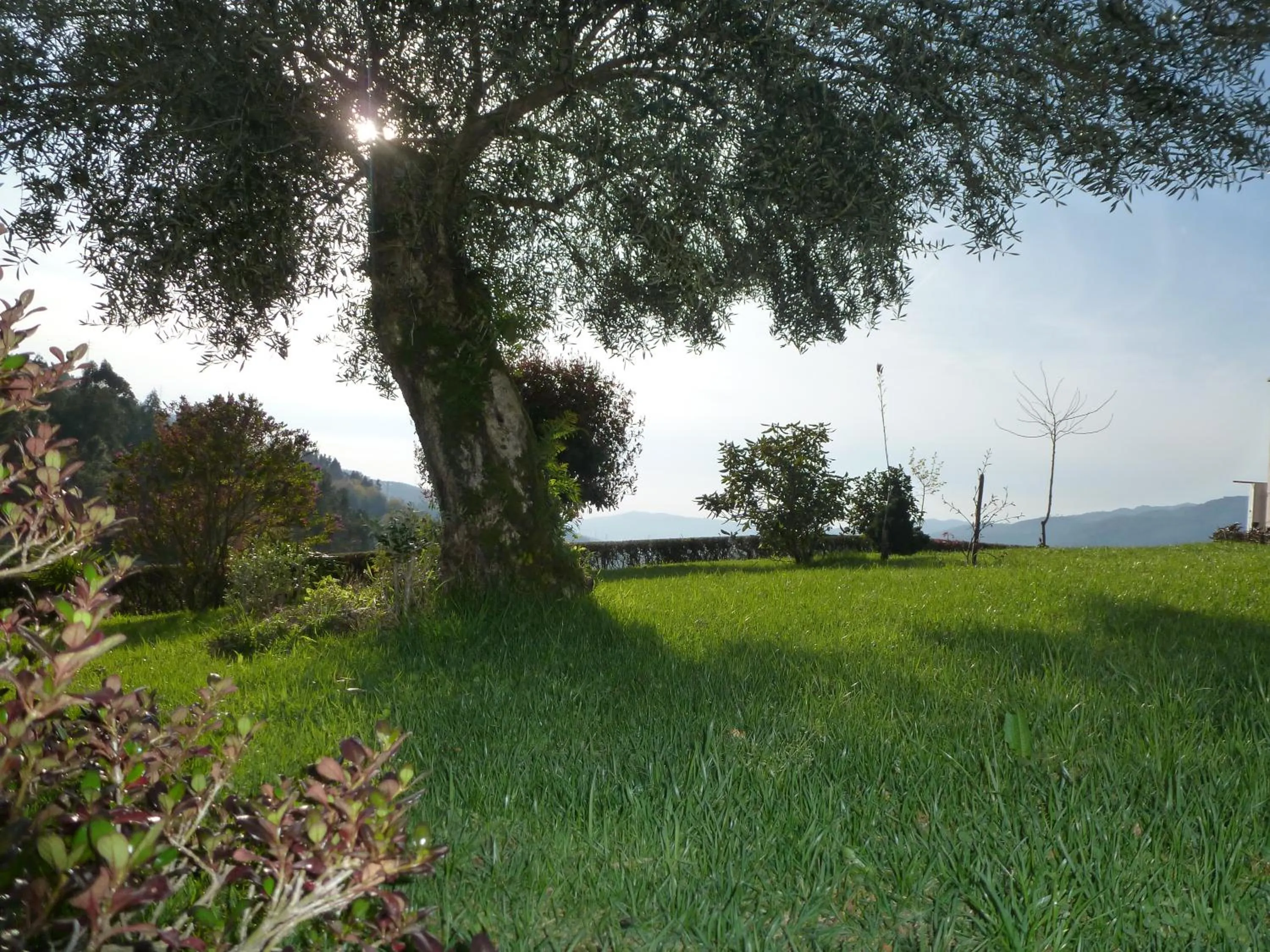 Garden in Quinta do Bento