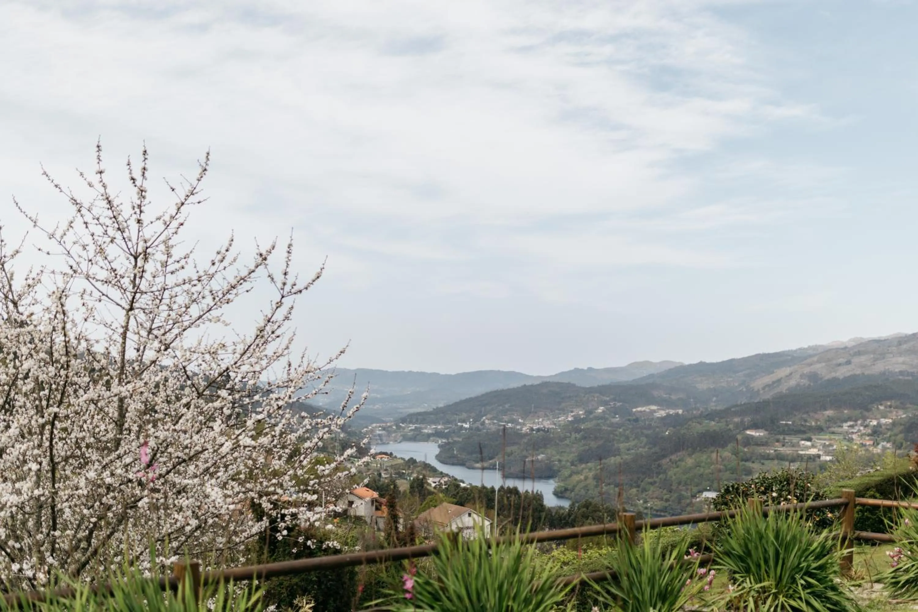 Spring in Quinta do Bento