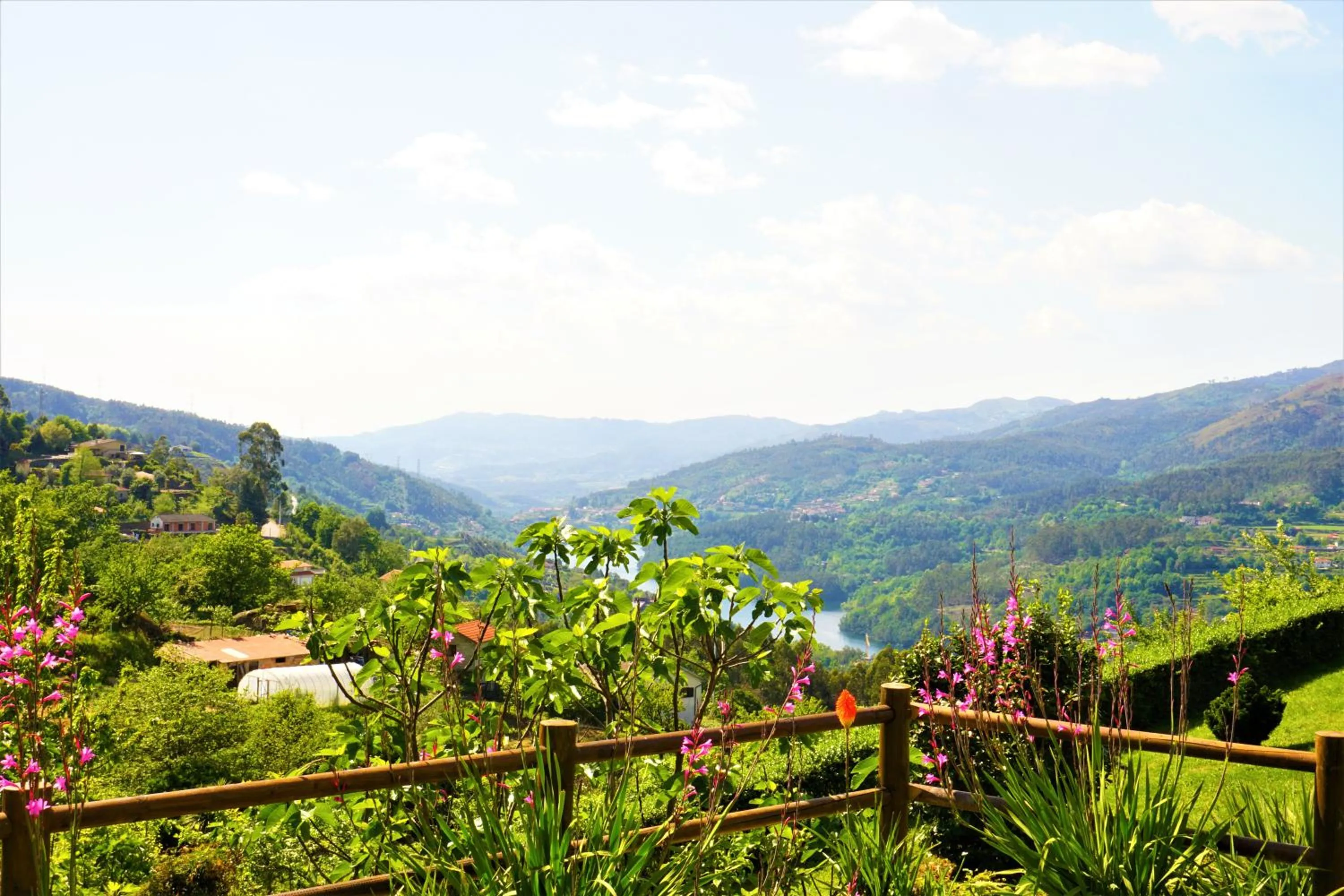 View (from property/room) in Quinta do Bento
