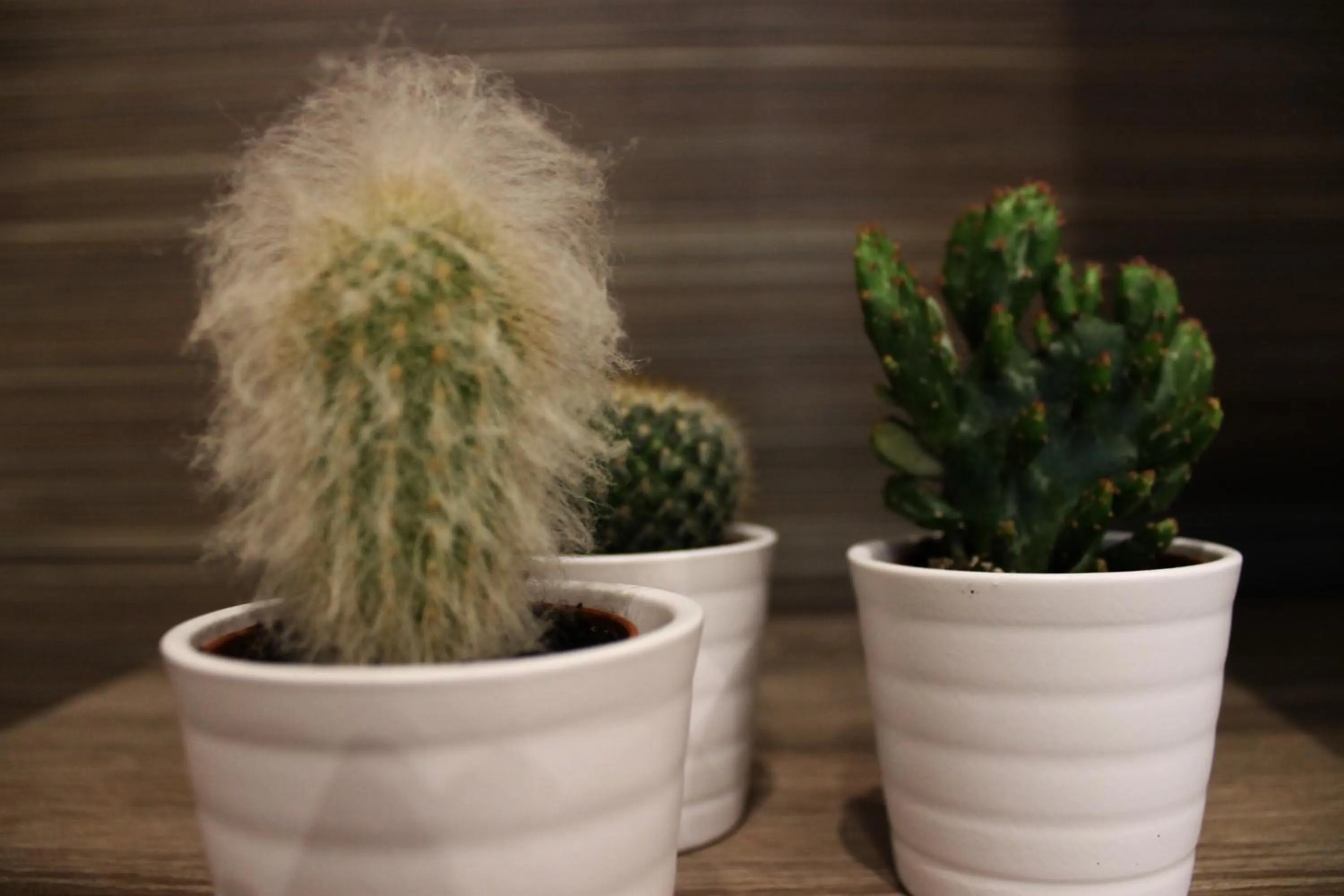 Decorative detail in B&B ViaBrin 32