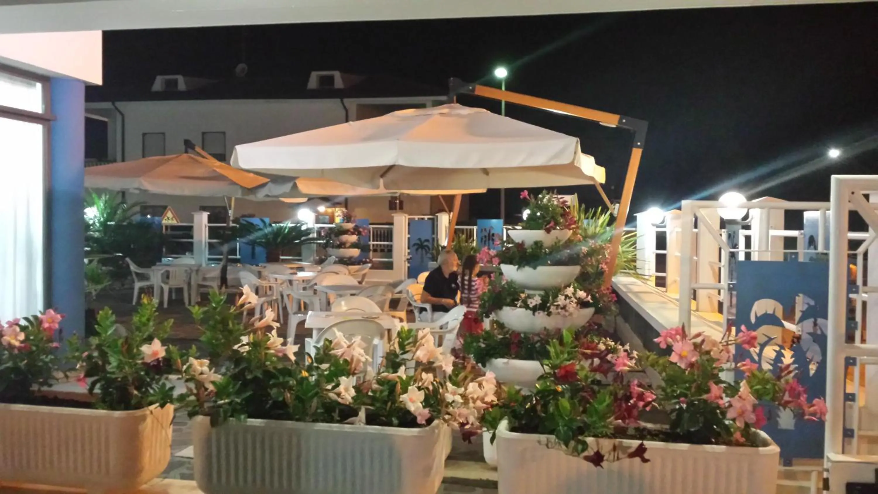 Patio in Hotel Le Palme