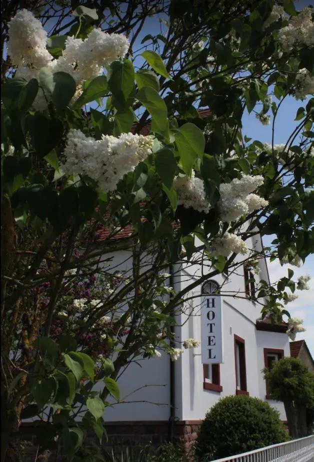 Facade/entrance in Häuser der Villa Italia