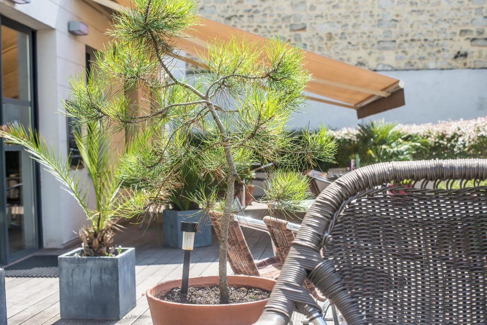 Balcony/Terrace in ibis Styles Bordeaux Centre Gare