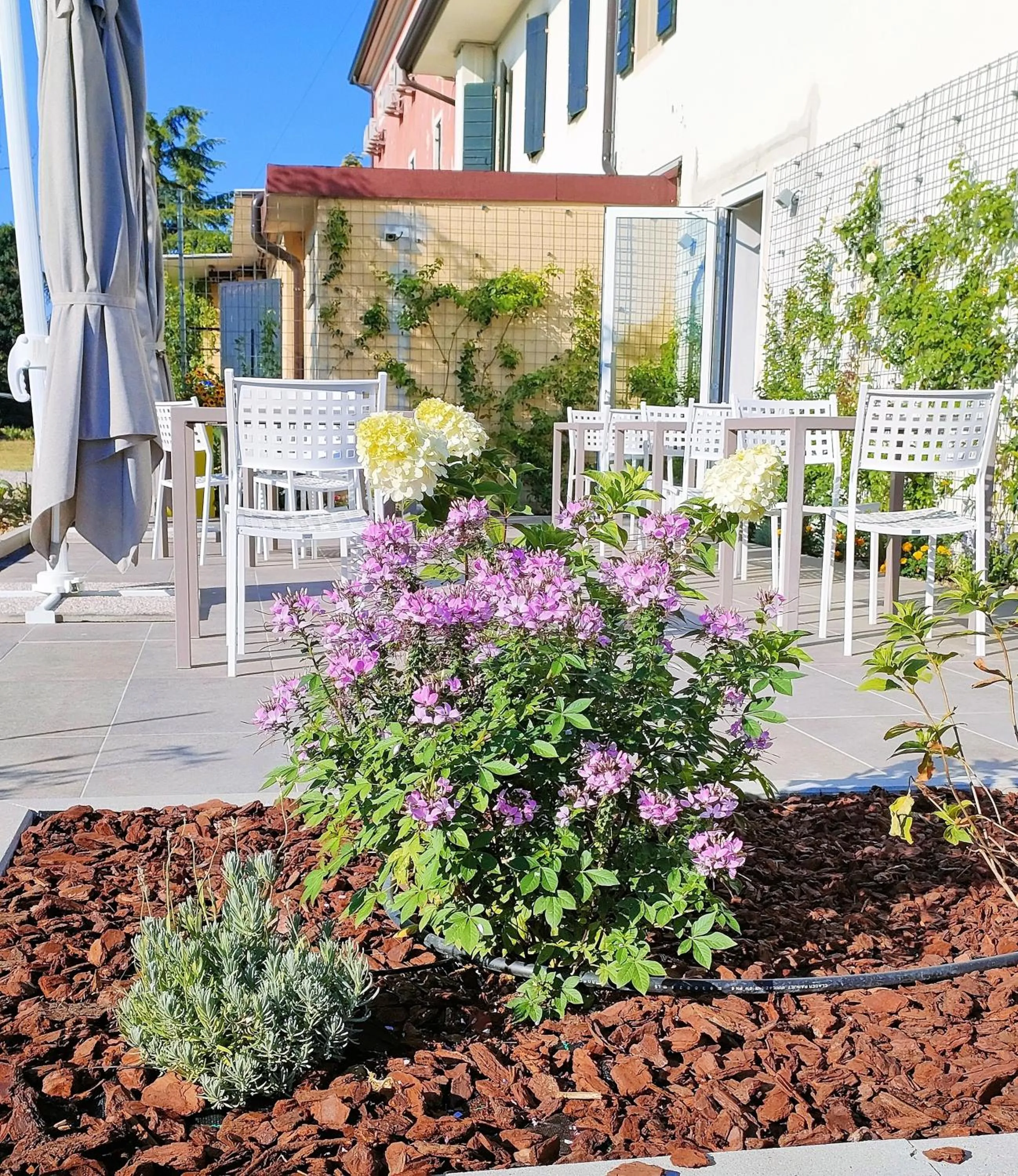 Property building in Country Hotel Al Gallo