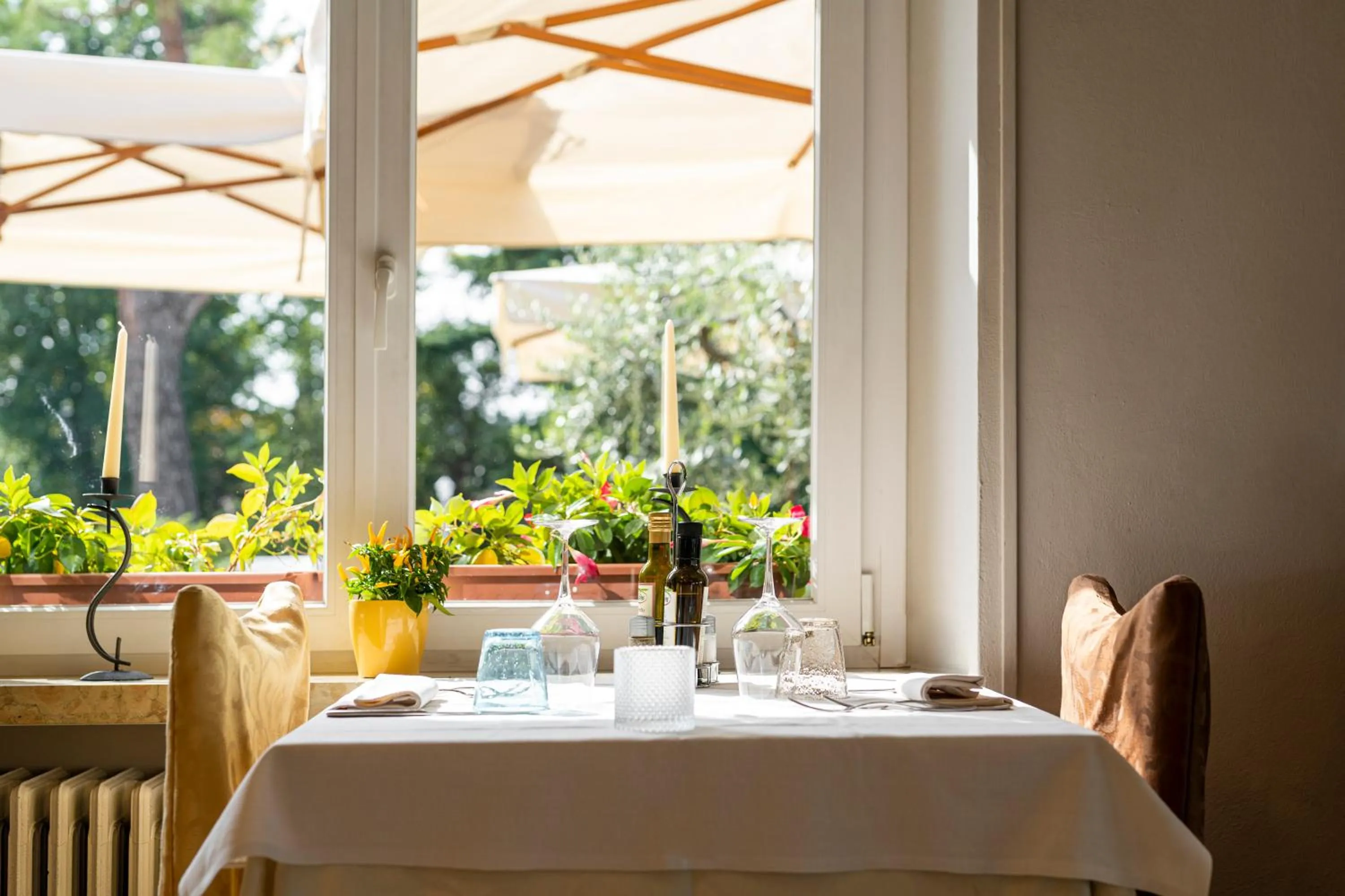 Restaurant/places to eat in Hotel Bellavista