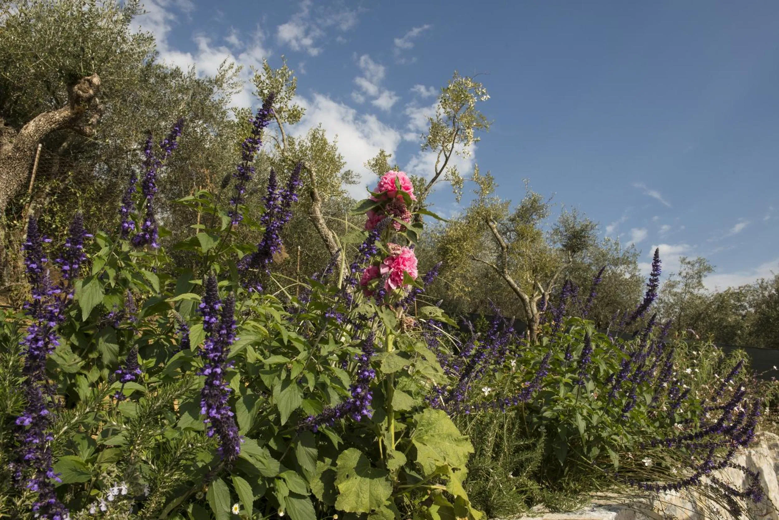 Property building in Villa GILDA Relax & Living