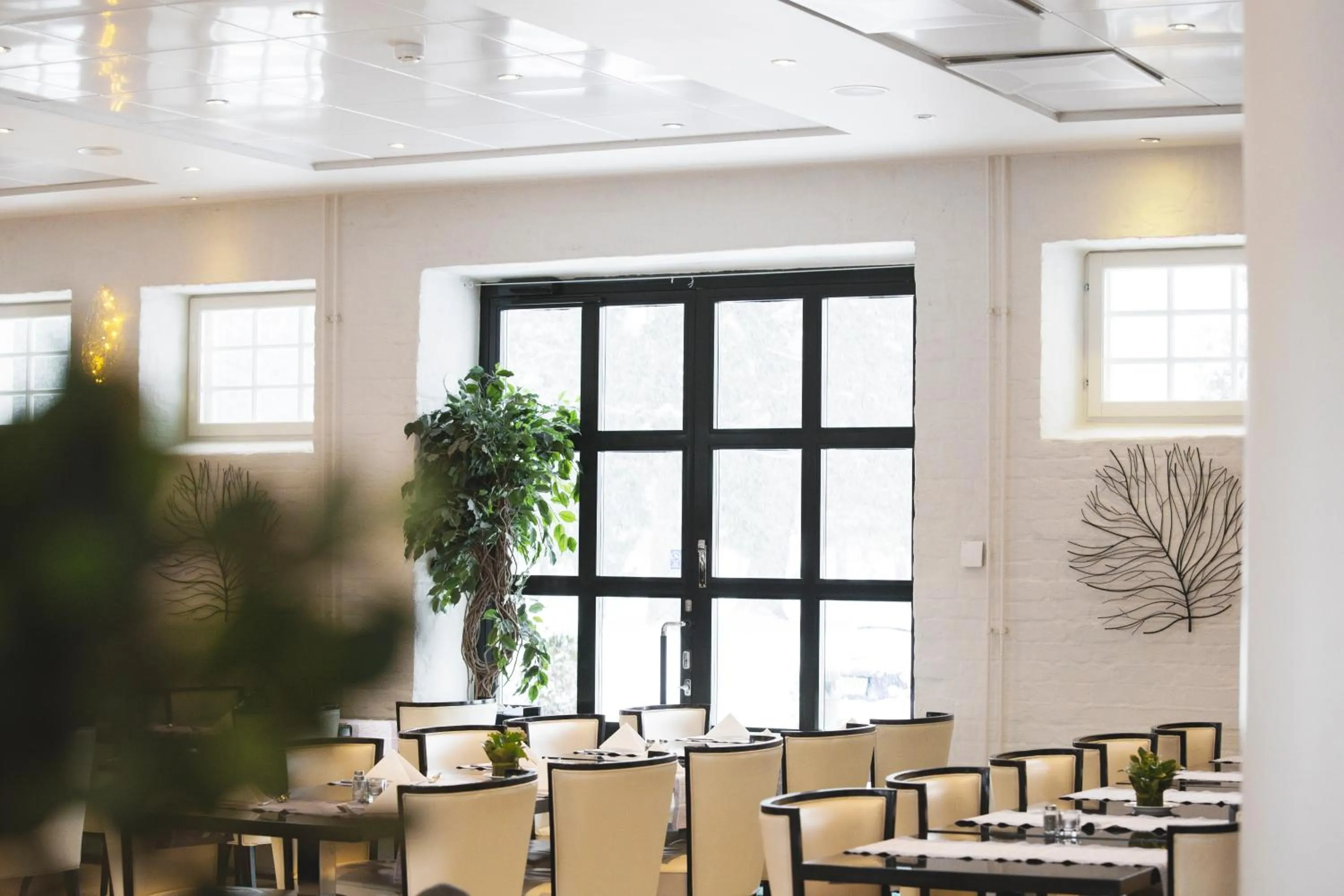 Restaurant/places to eat in Hotel Epoque & Apartments