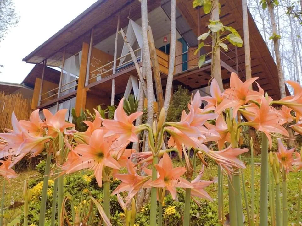 Natural landscape in Nan De Panna Resort and Spa