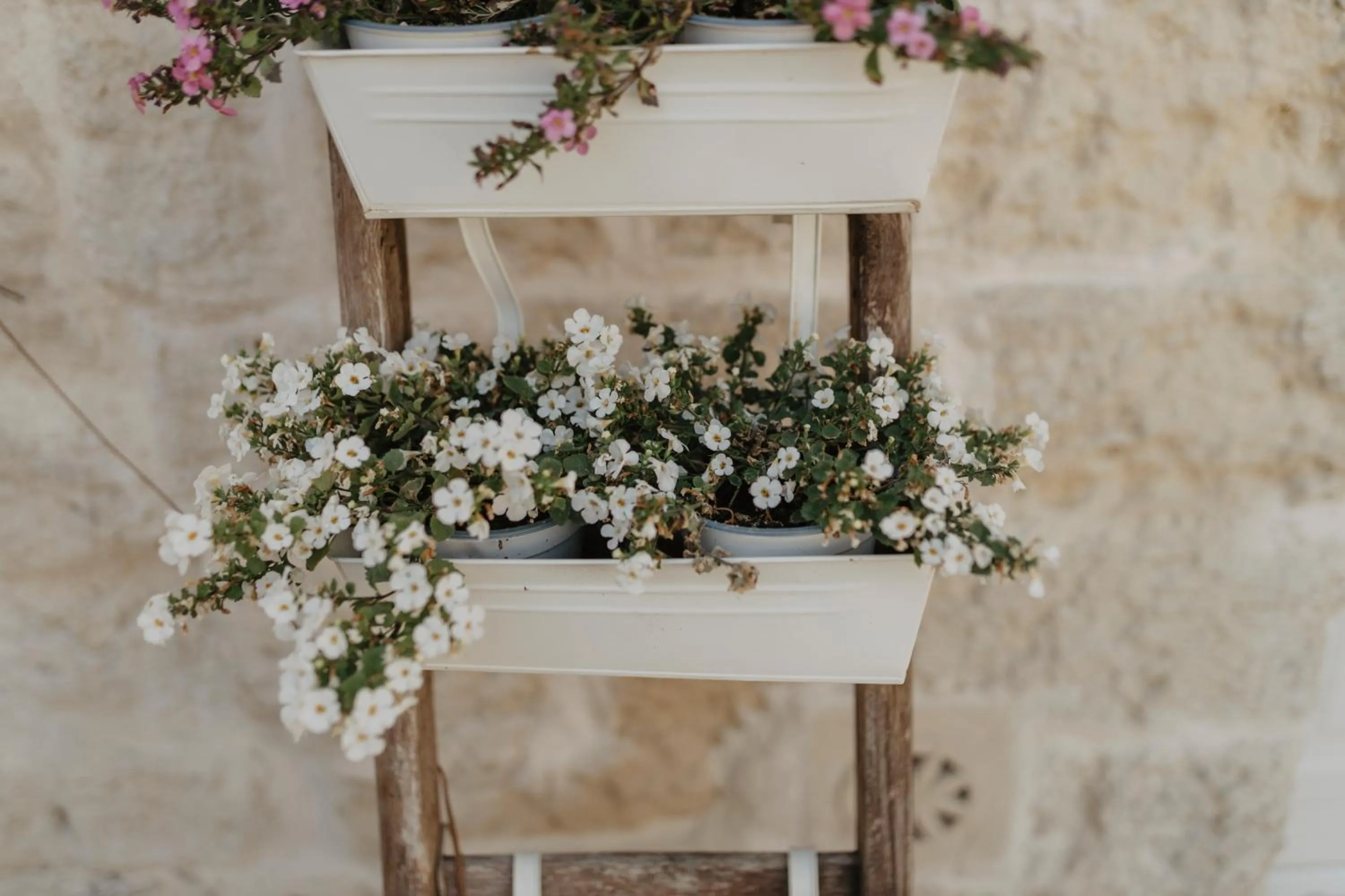 Decorative detail in Le Dodici Lune