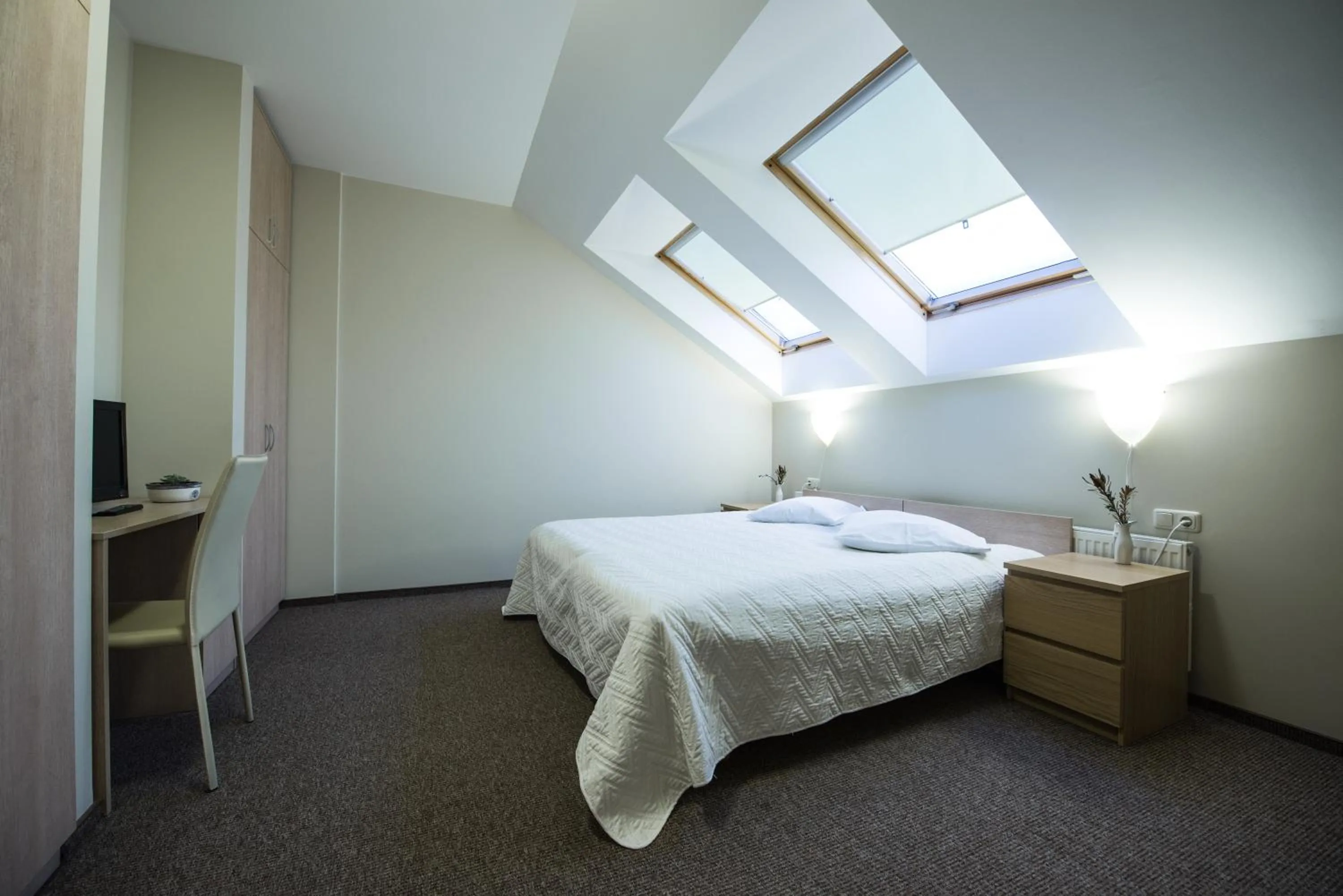 Double Room in Hotel Audenis