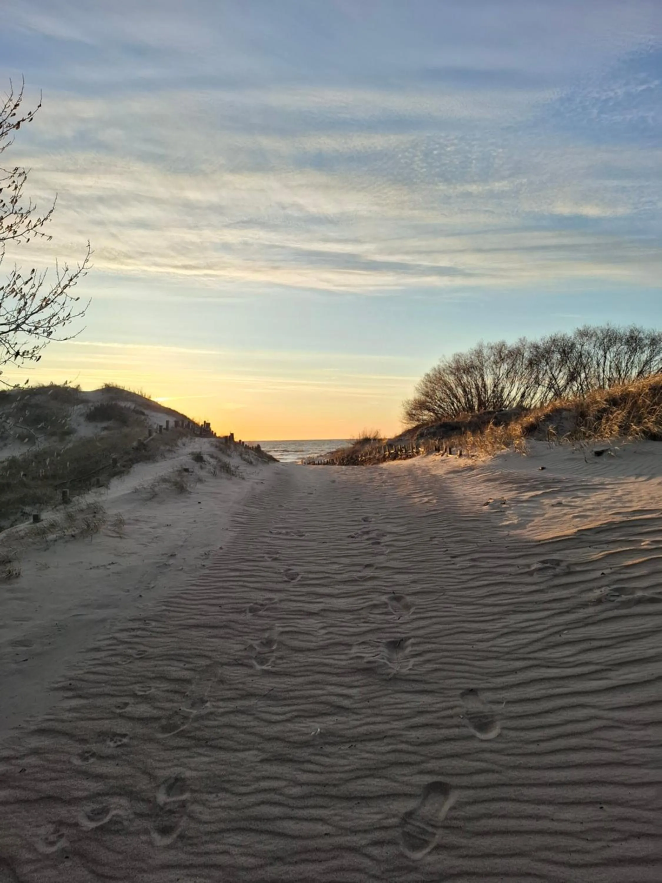 Natural landscape in Health & Wellness Center Energetikas